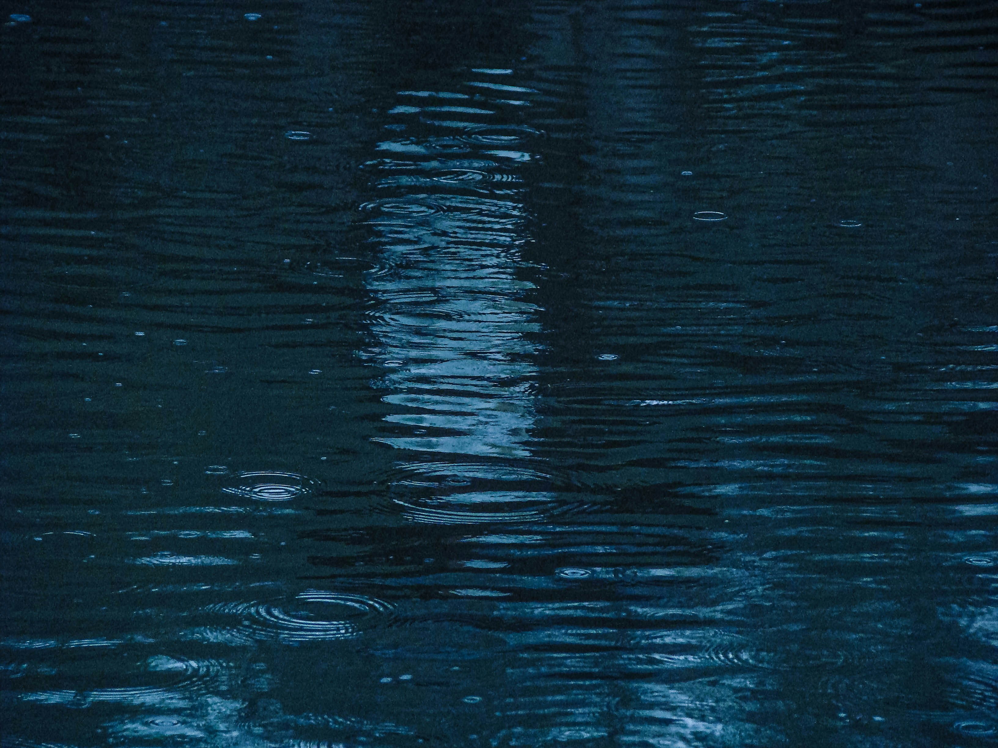 Photo by maro_of_sengu