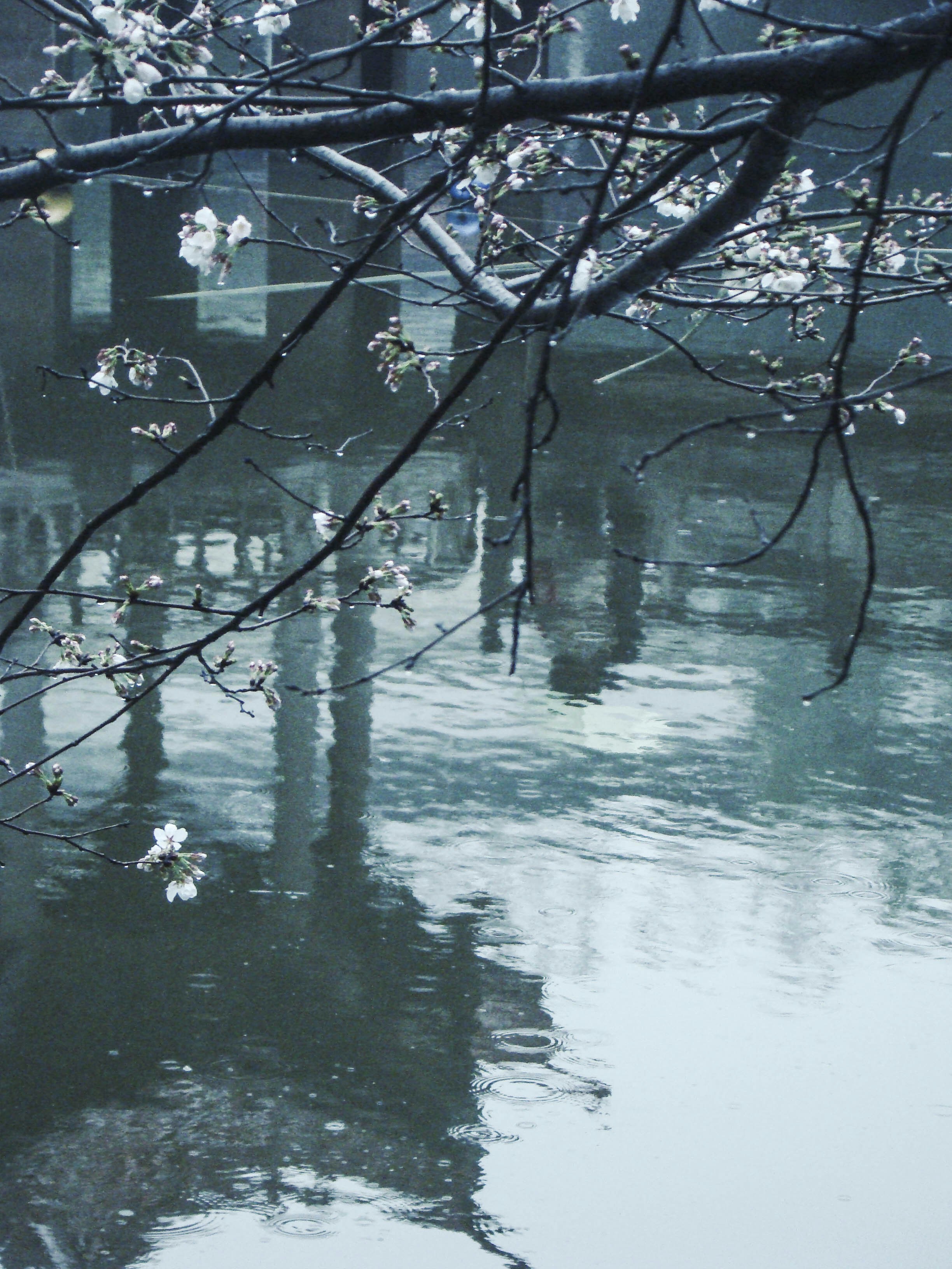 Photo by maro_of_sengu