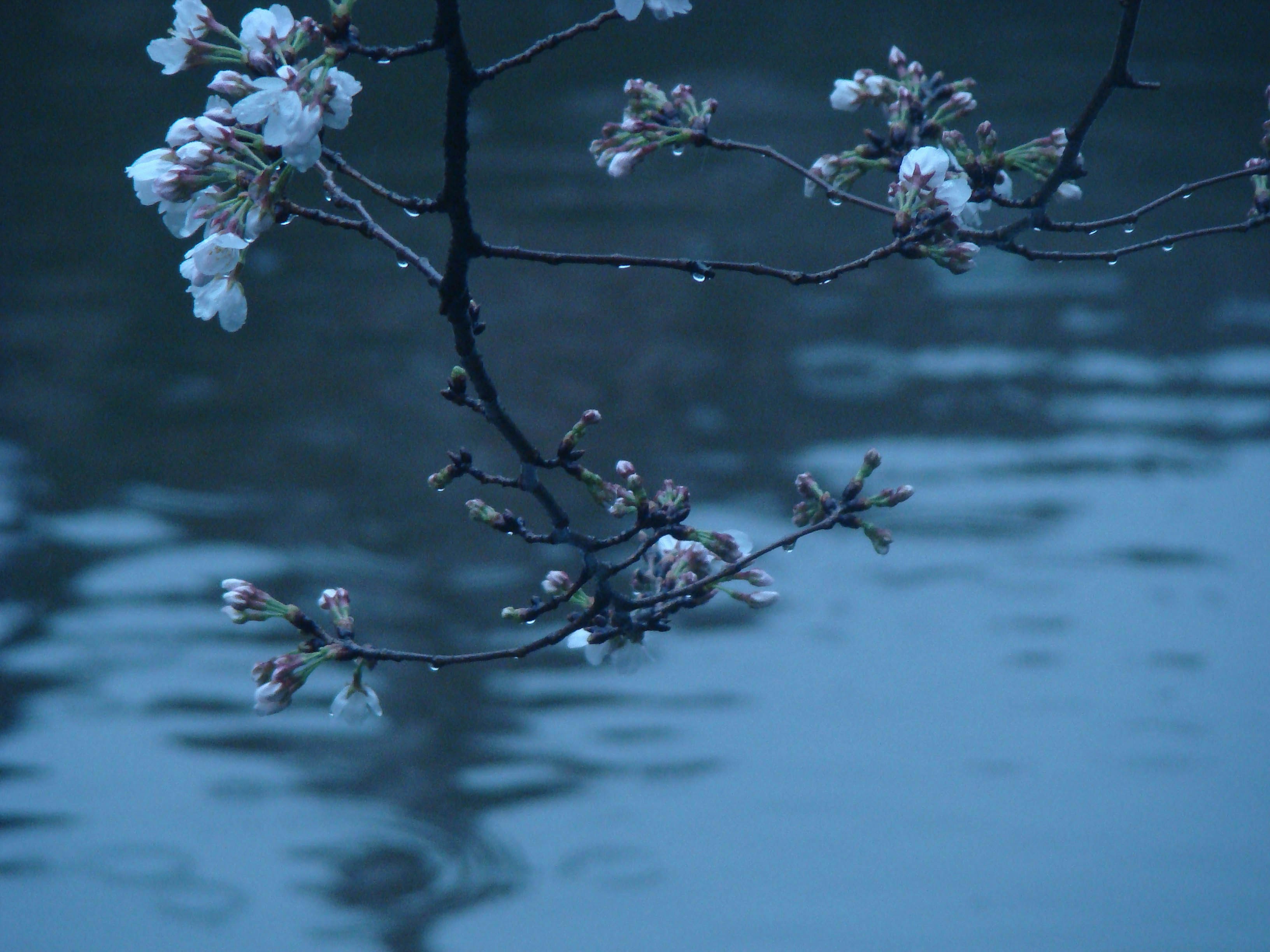 Photo by maro_of_sengu