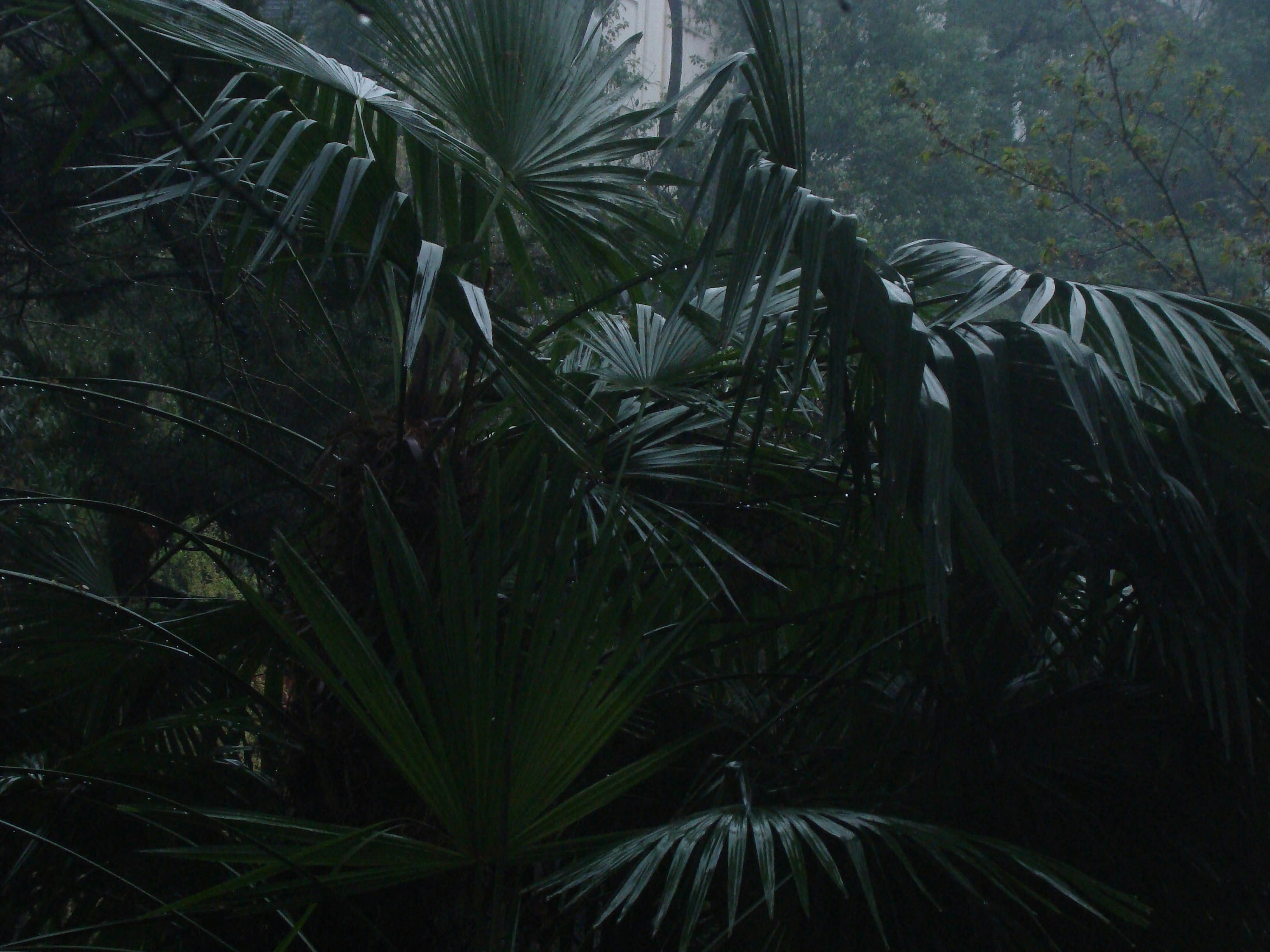 Photo by maro_of_sengu