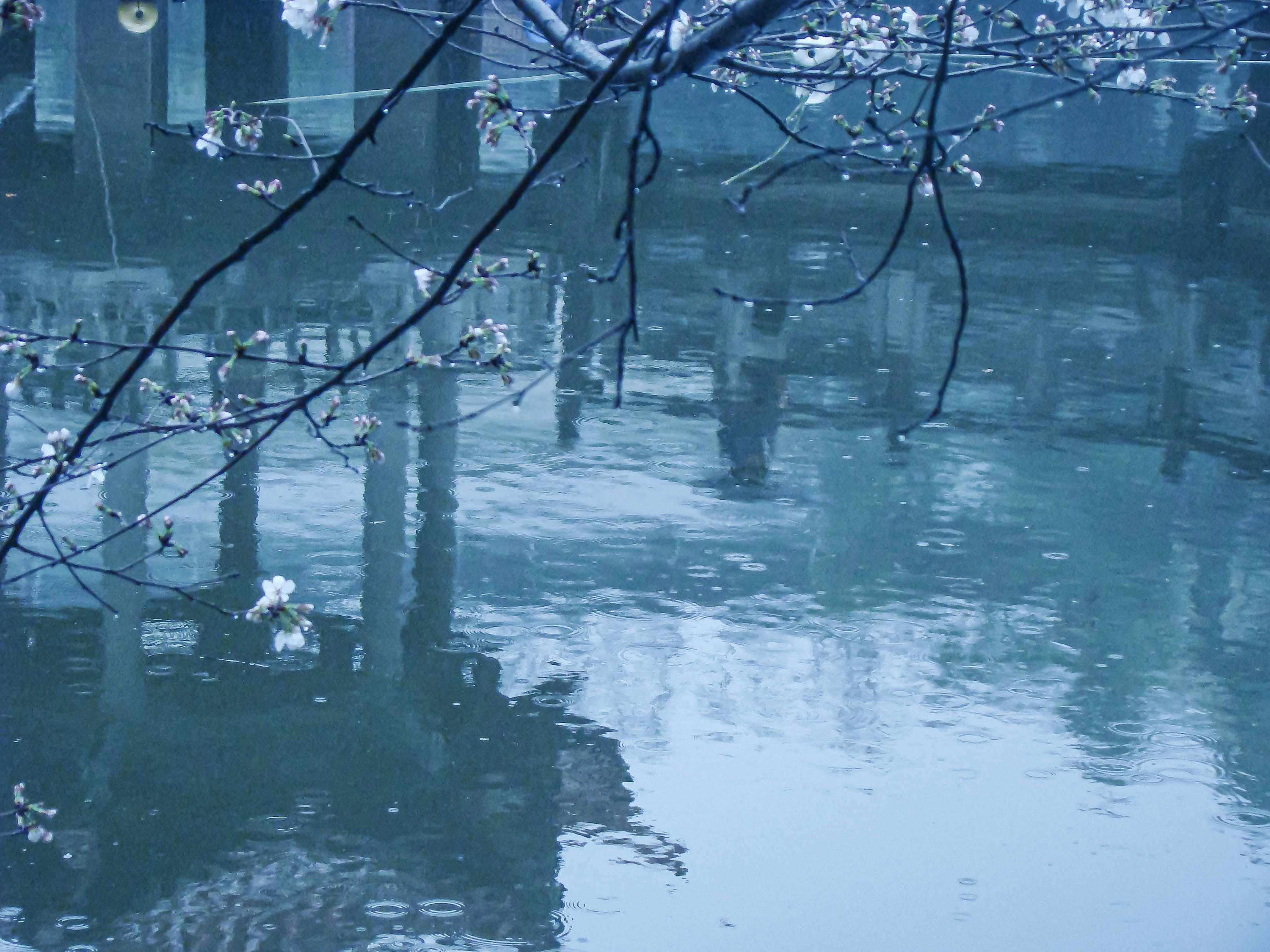 Photo by maro_of_sengu