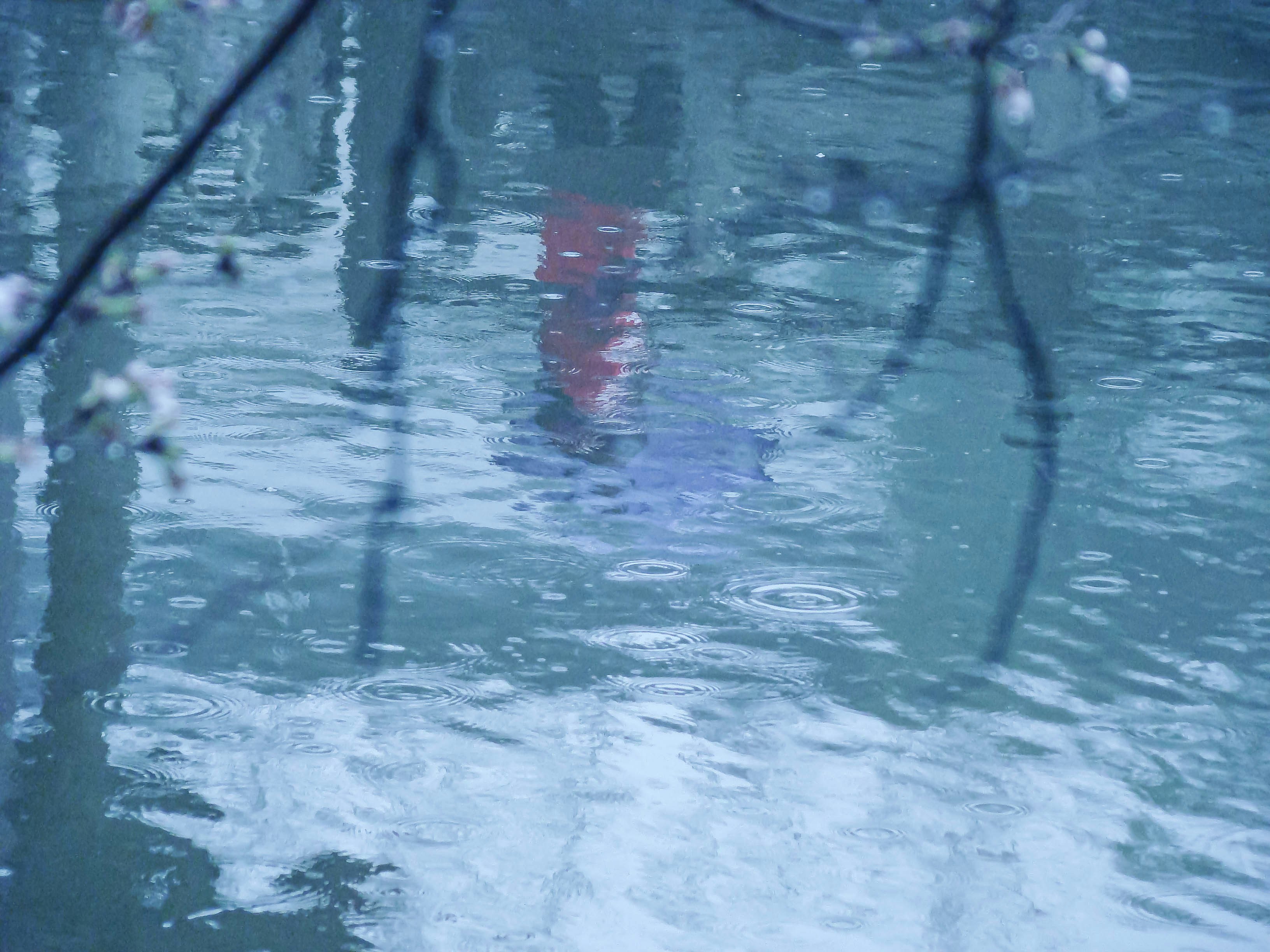 Photo by maro_of_sengu