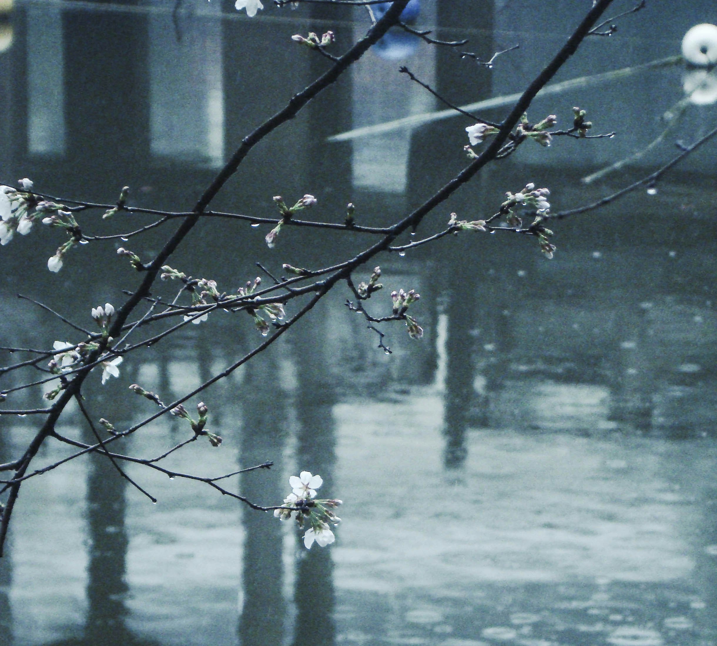 Photo by maro_of_sengu