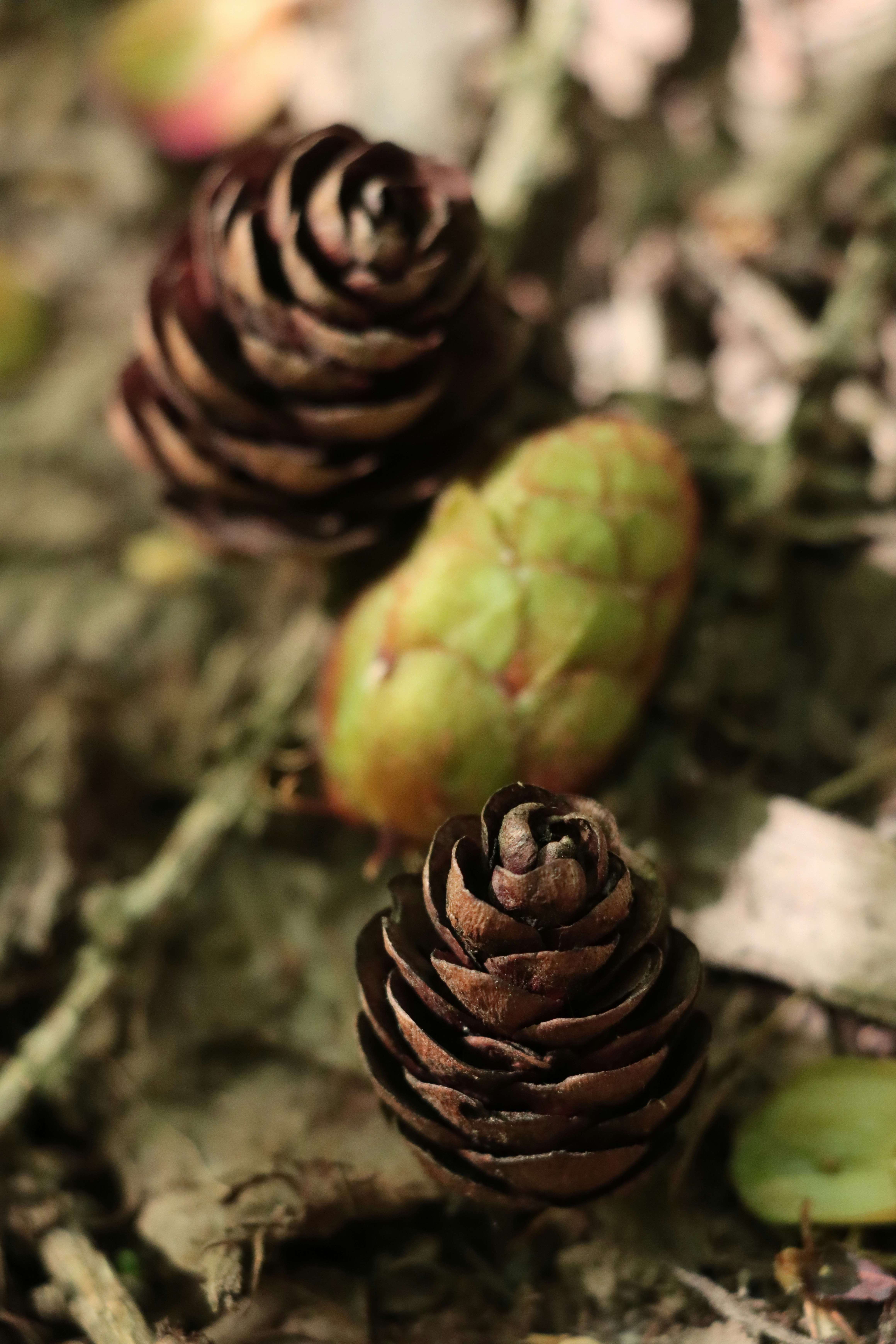 Photo by irina_chishkova