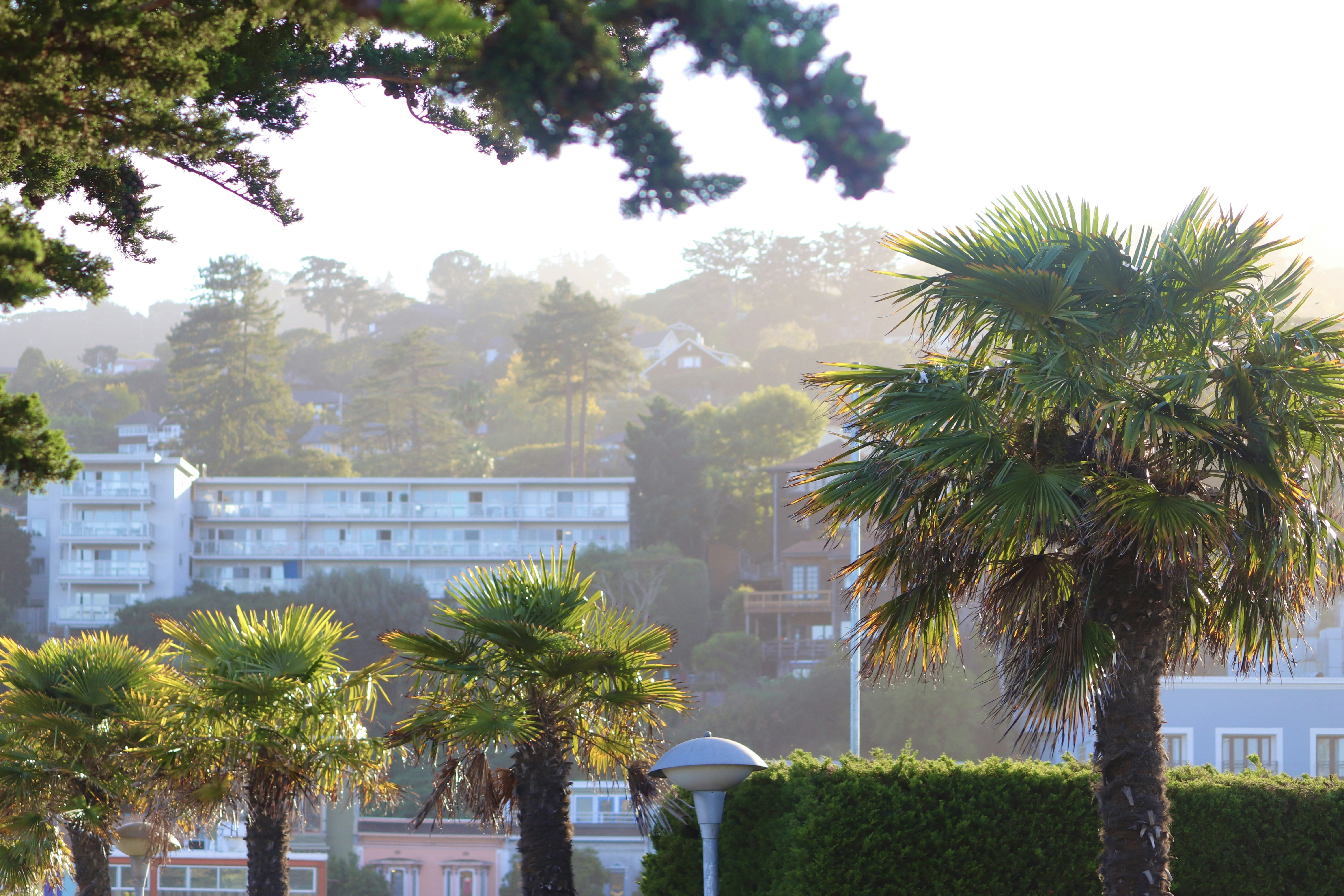 Thursday Morning What's Up: A Break In the Rain