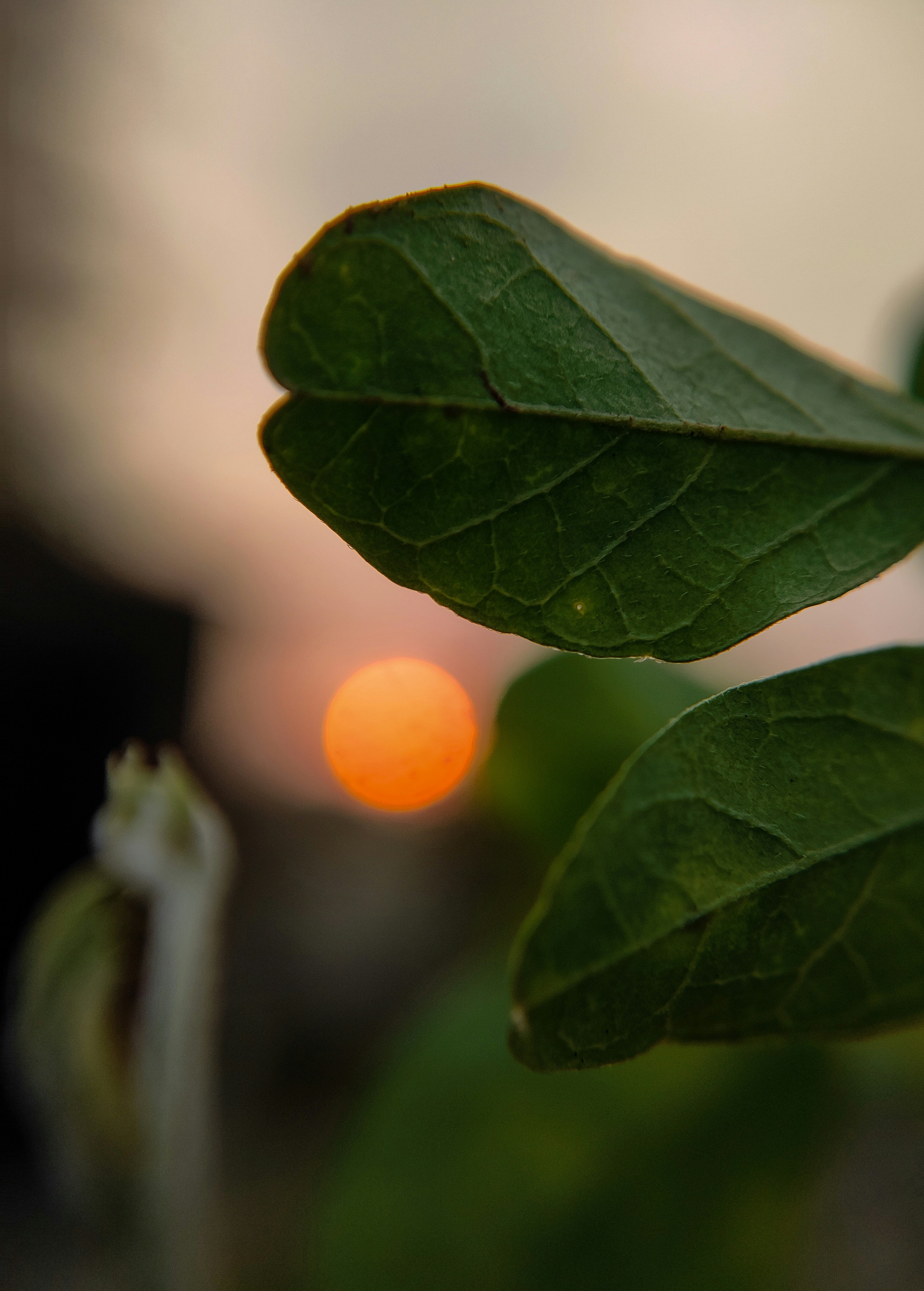 Photo by macrosam