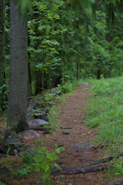 a path in the woods with rocks and trees