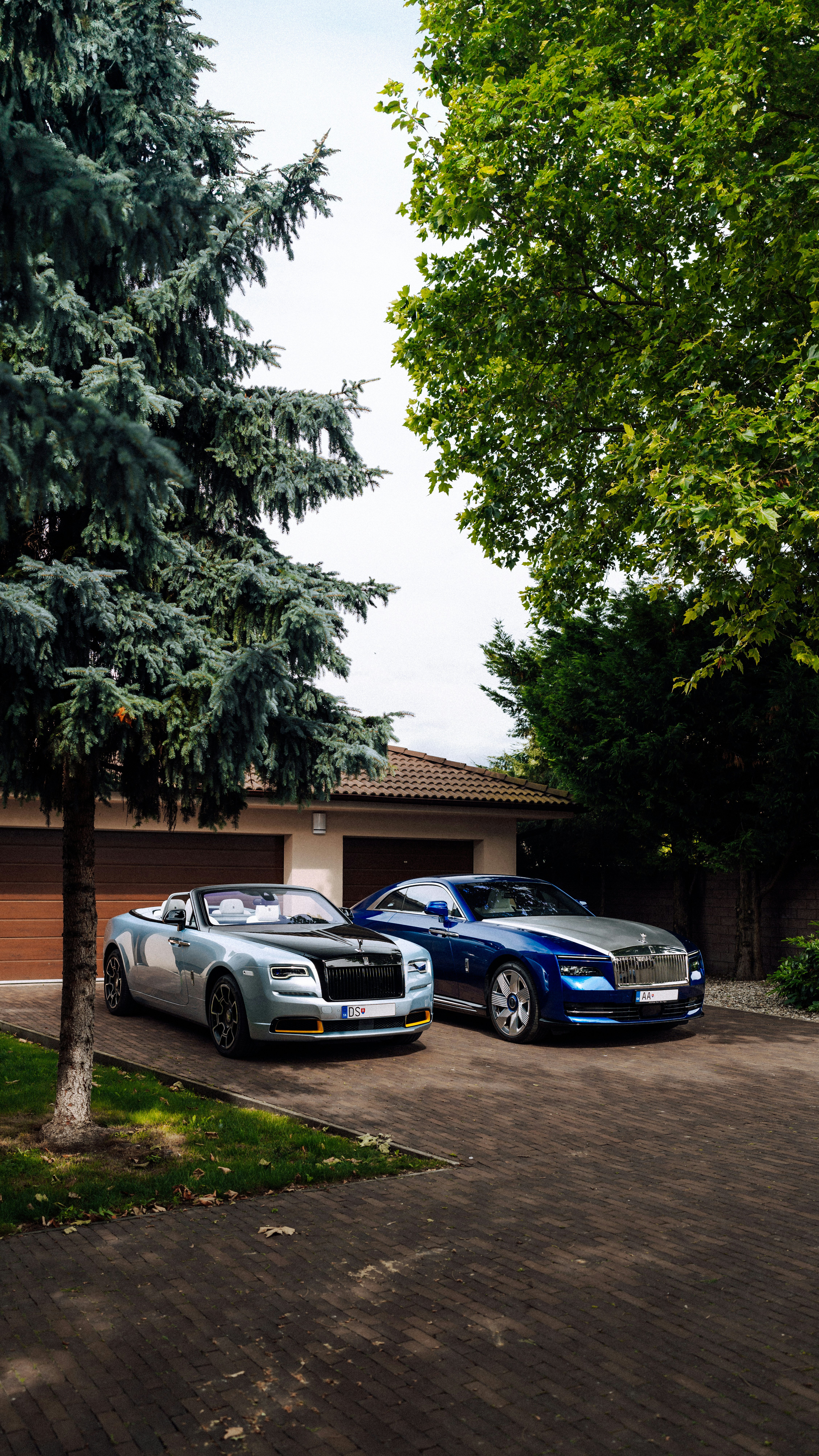 Two cars parked in a driveway next to a tree photo – Free Tree Image on ...