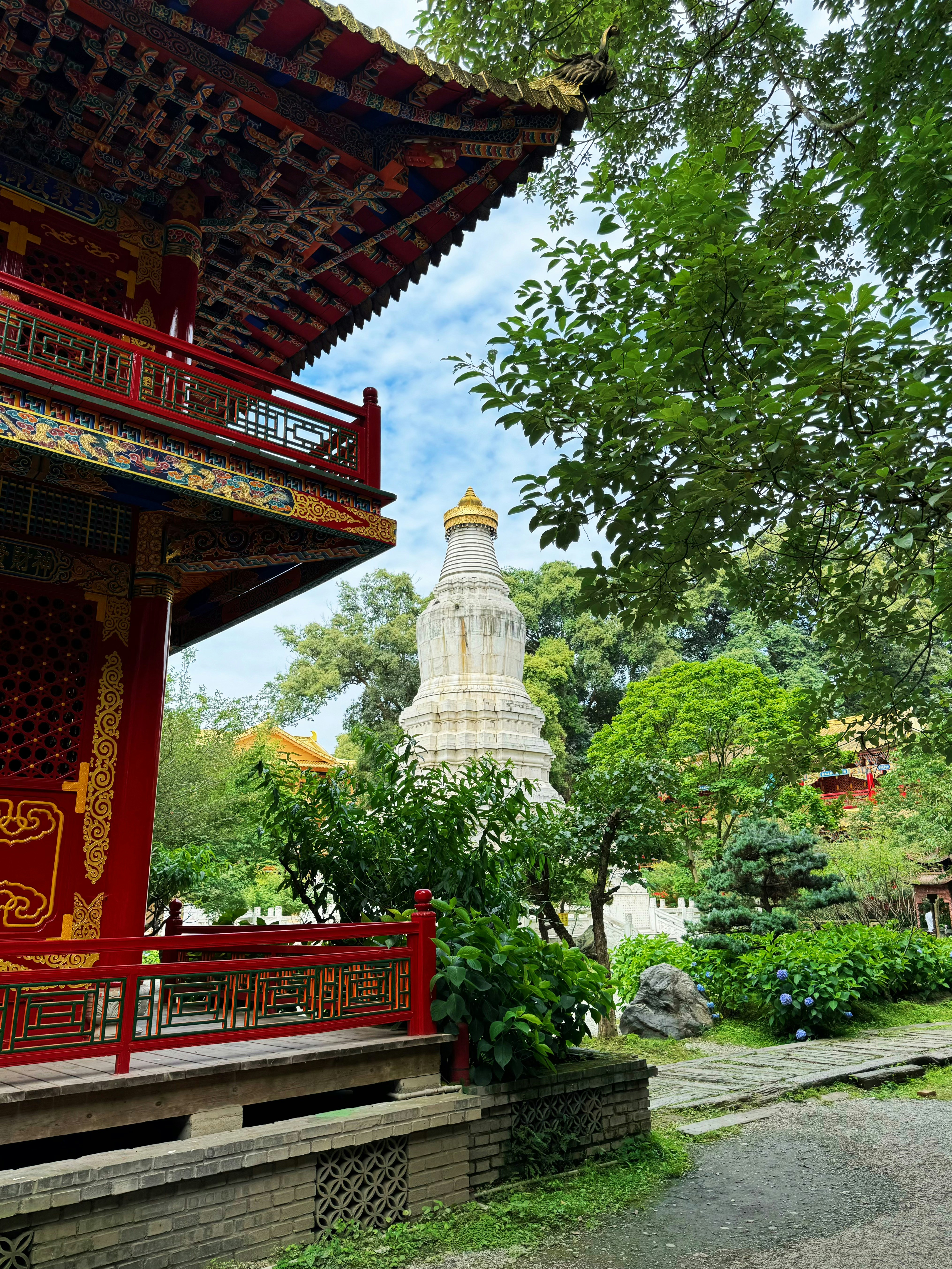 Photo by mw960367054