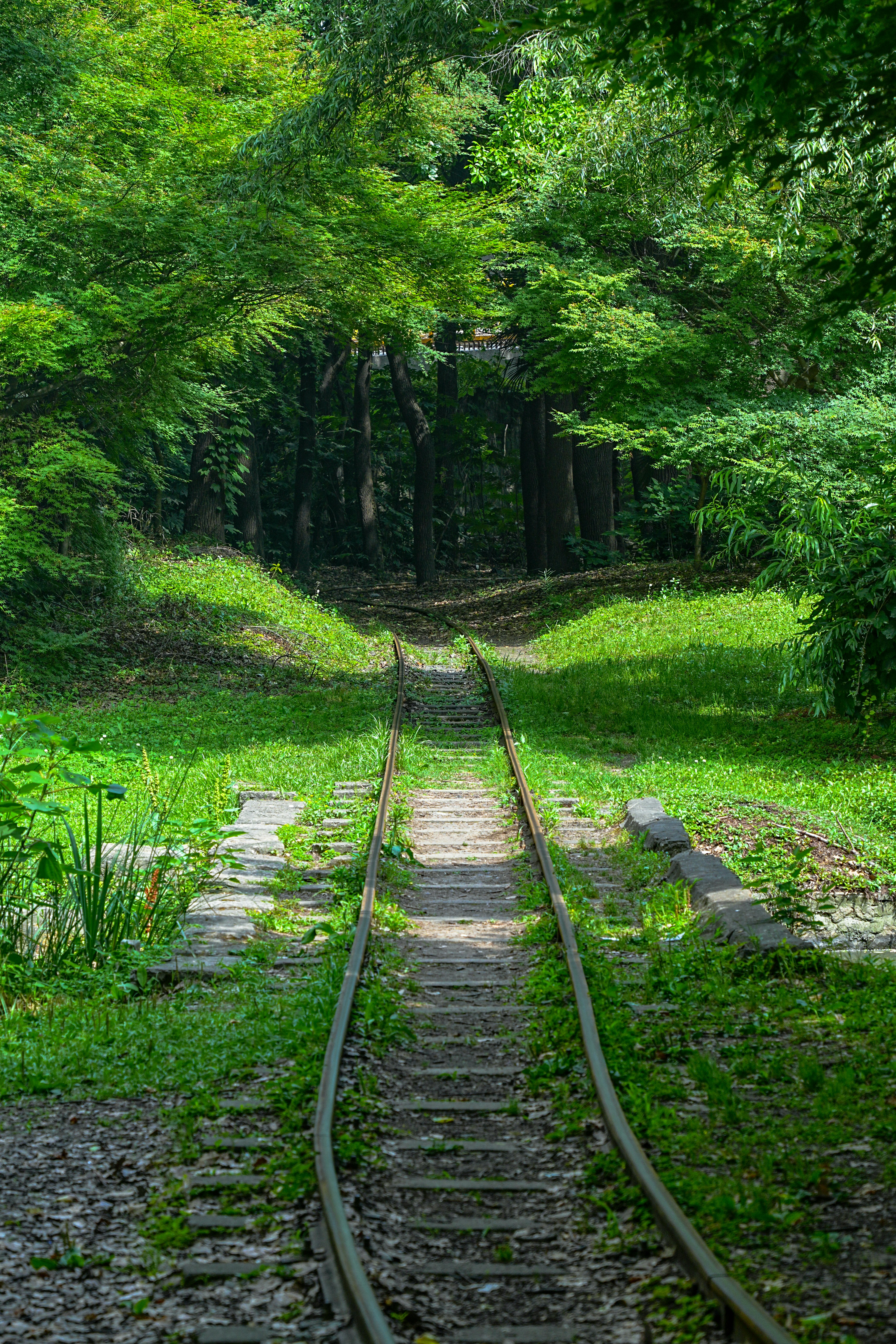 Photo by hattrick1996