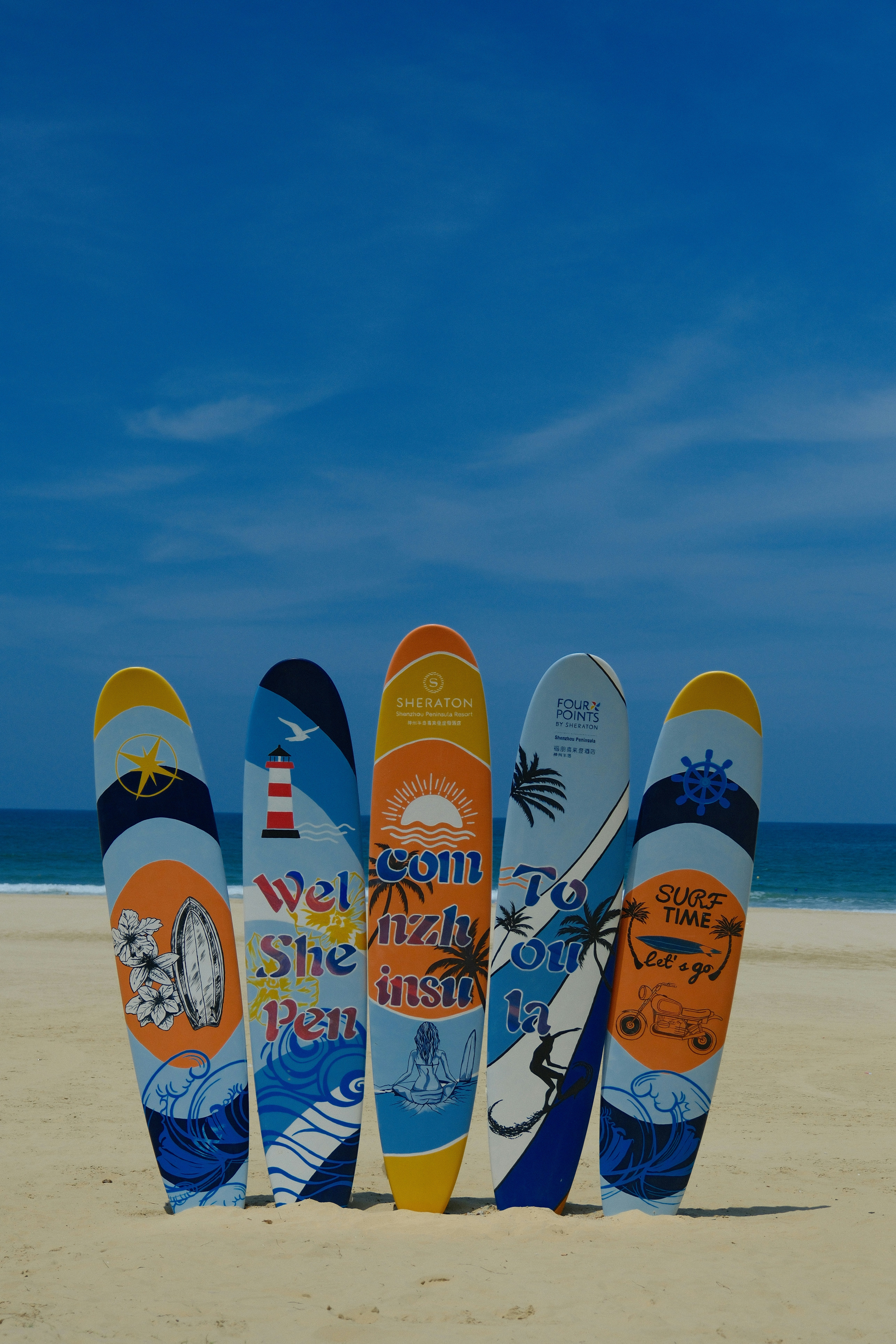 a row of surfboards sitting on top of a sandy beach
