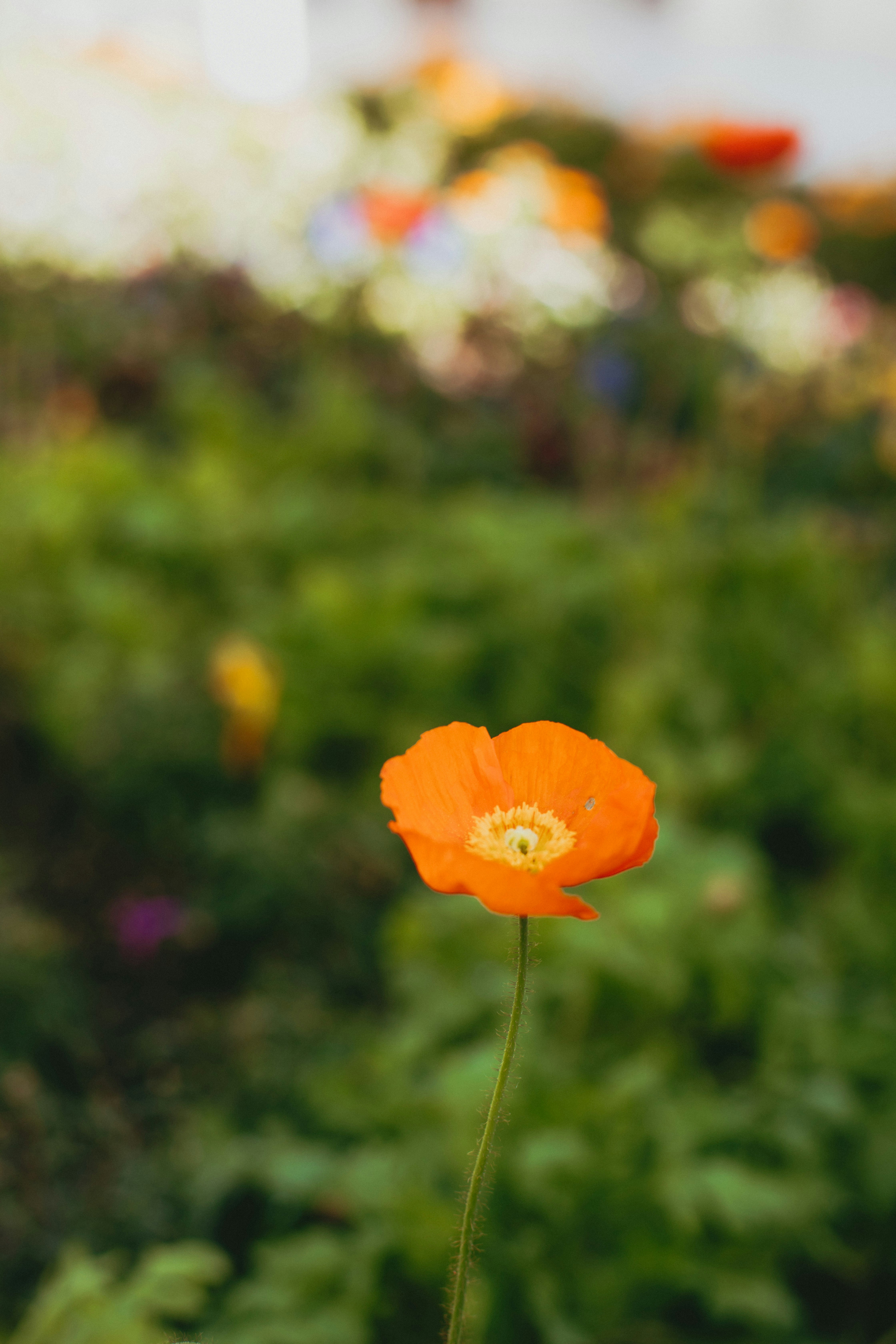 Photo by createinme_nz