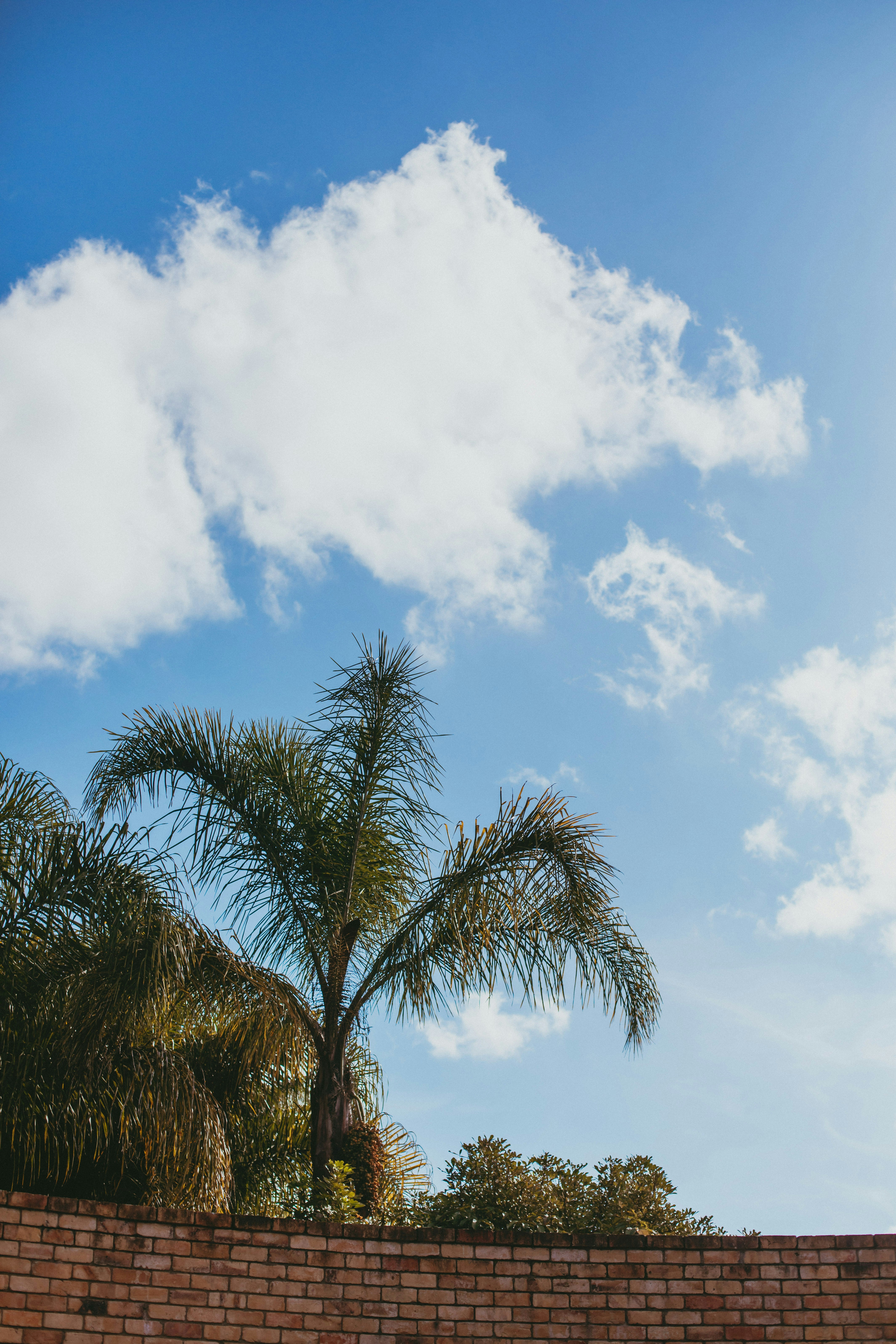 Photo by createinme_nz