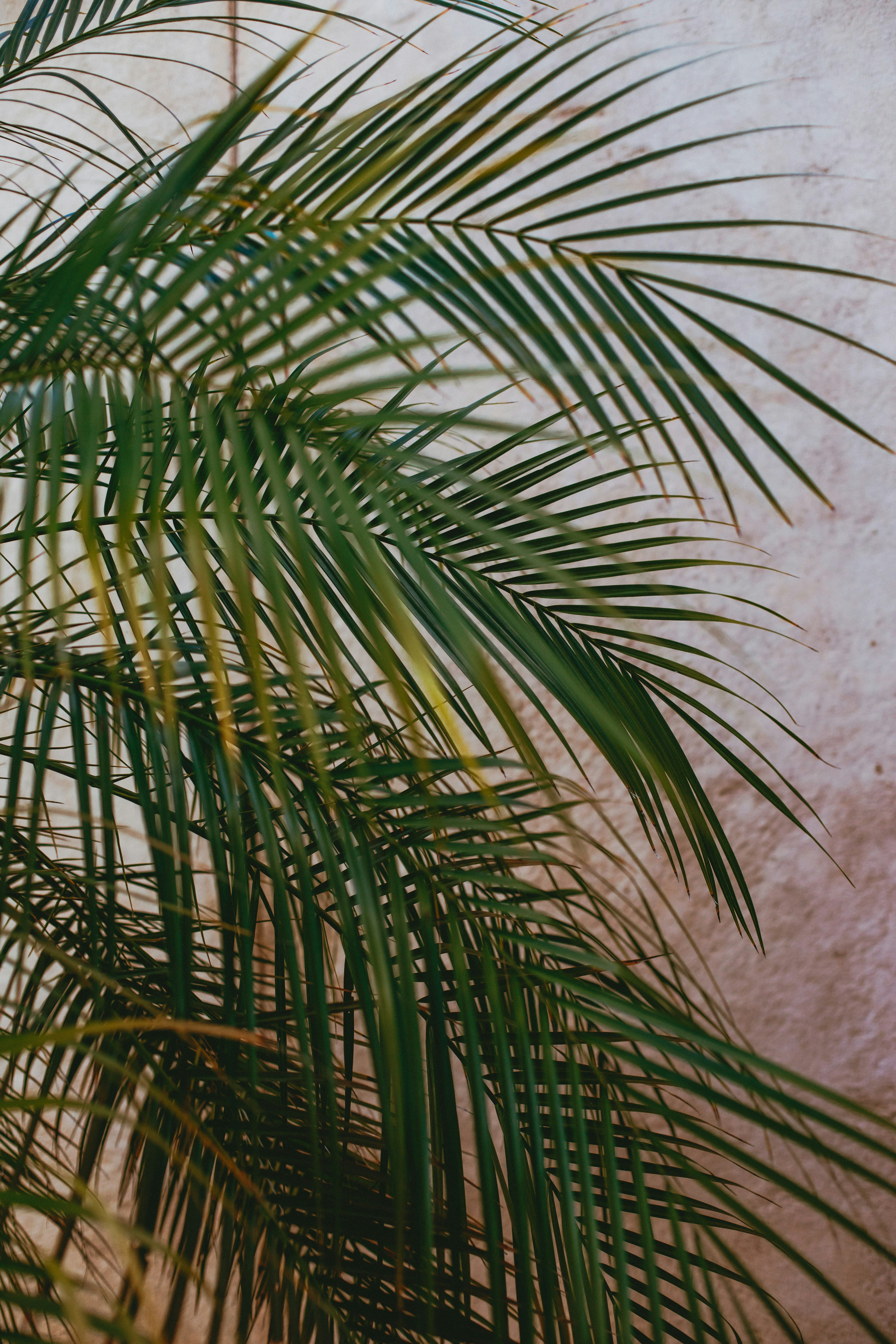 Photo by createinme_nz