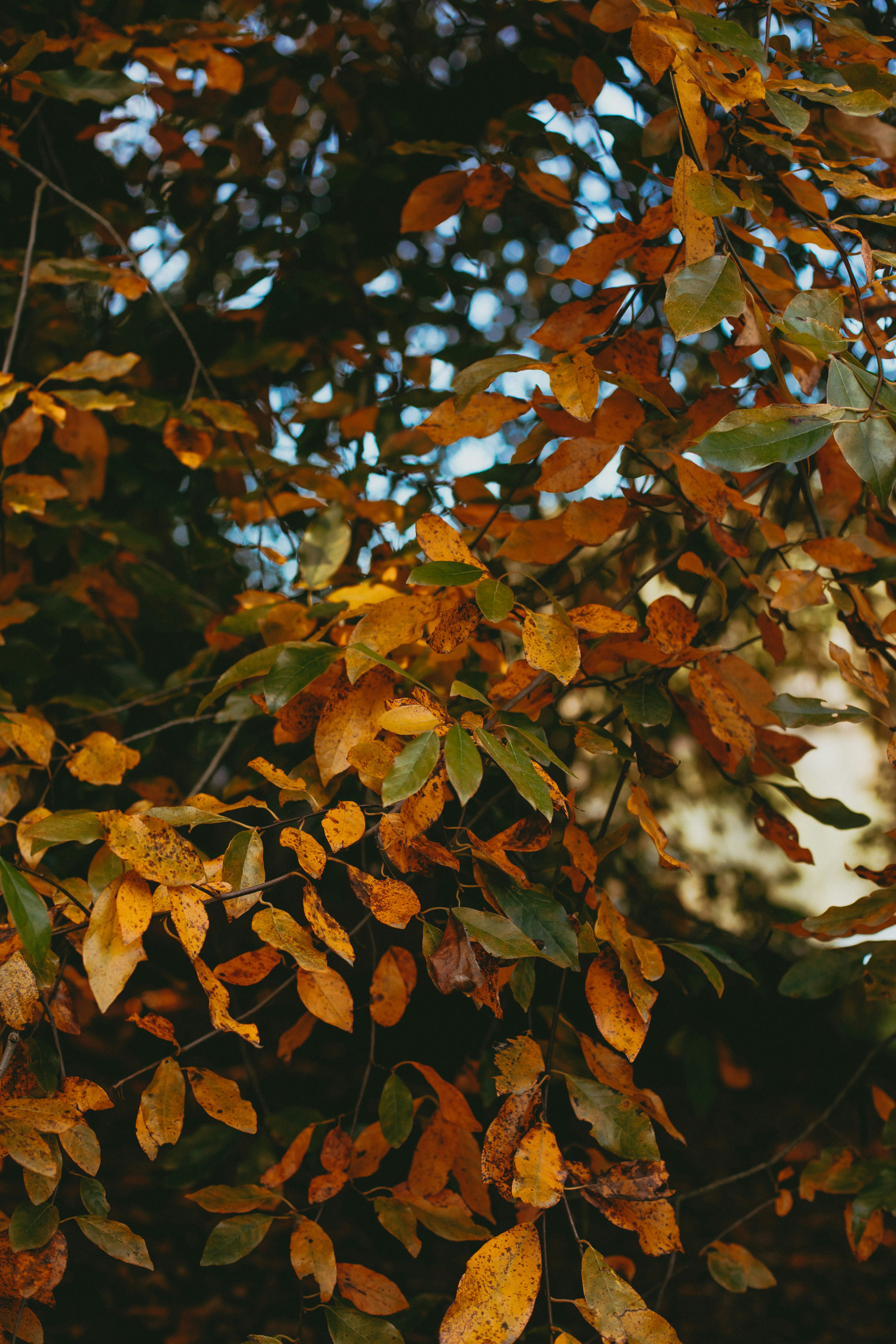 Photo by createinme_nz