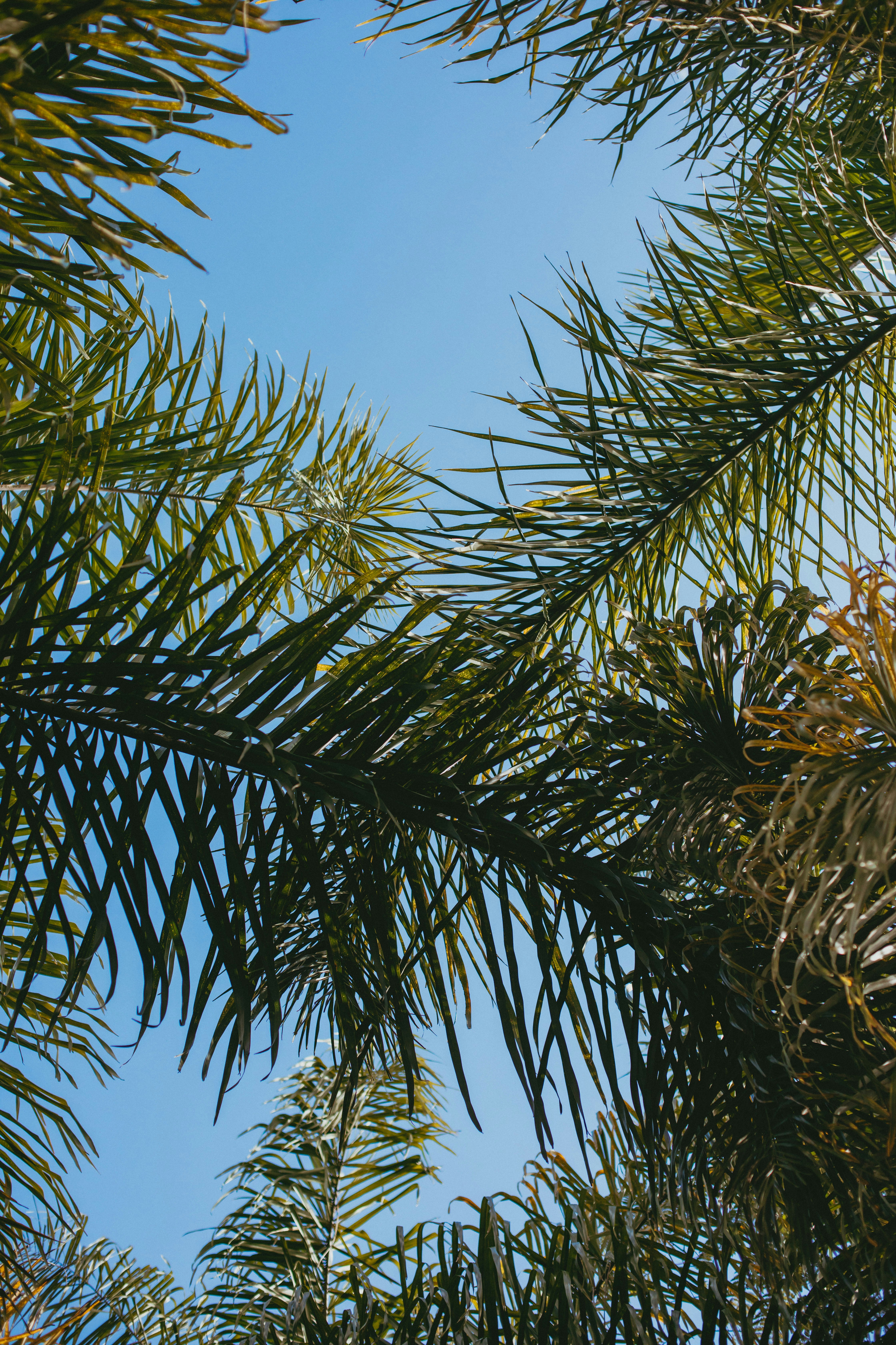 Photo by createinme_nz