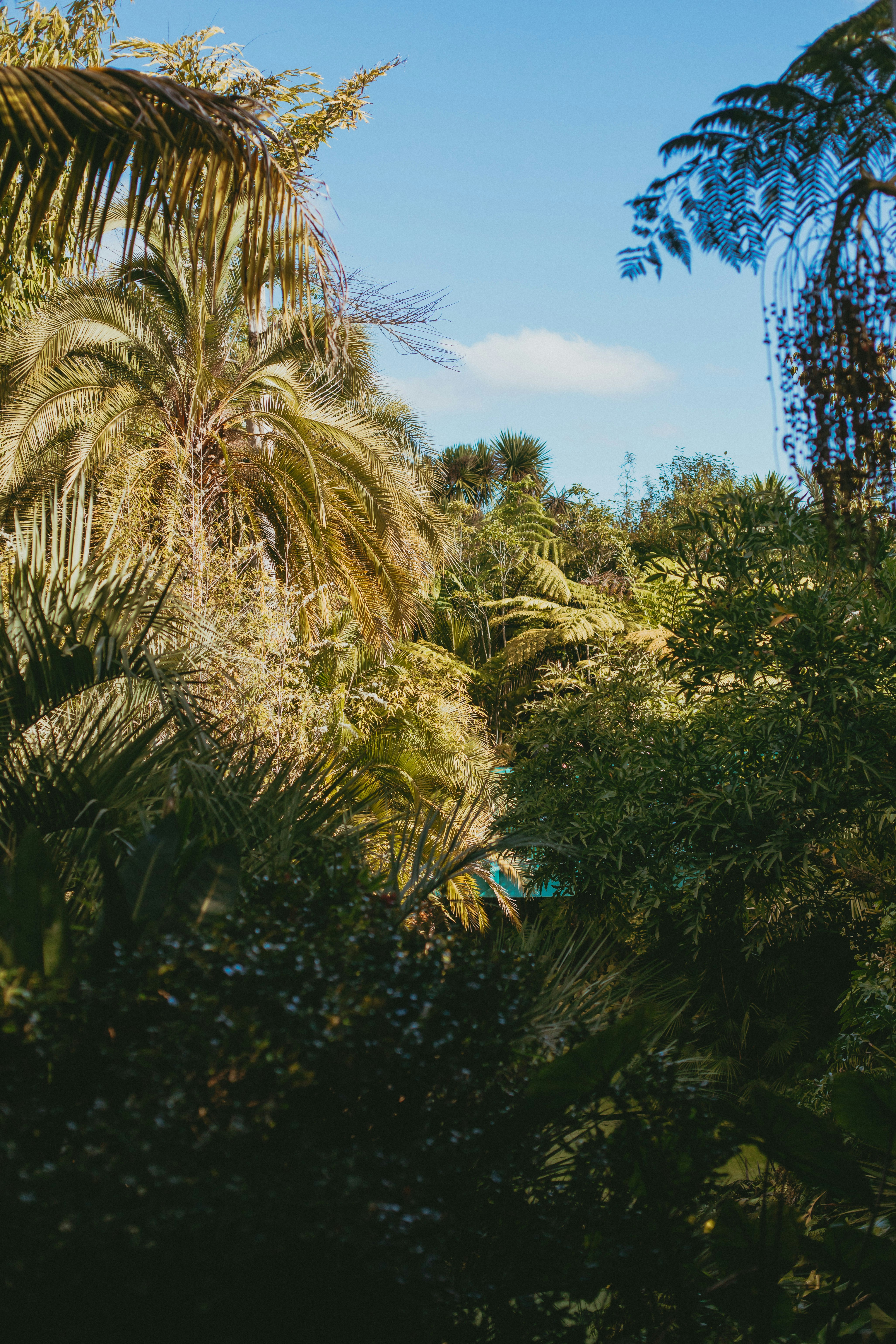 Photo by createinme_nz