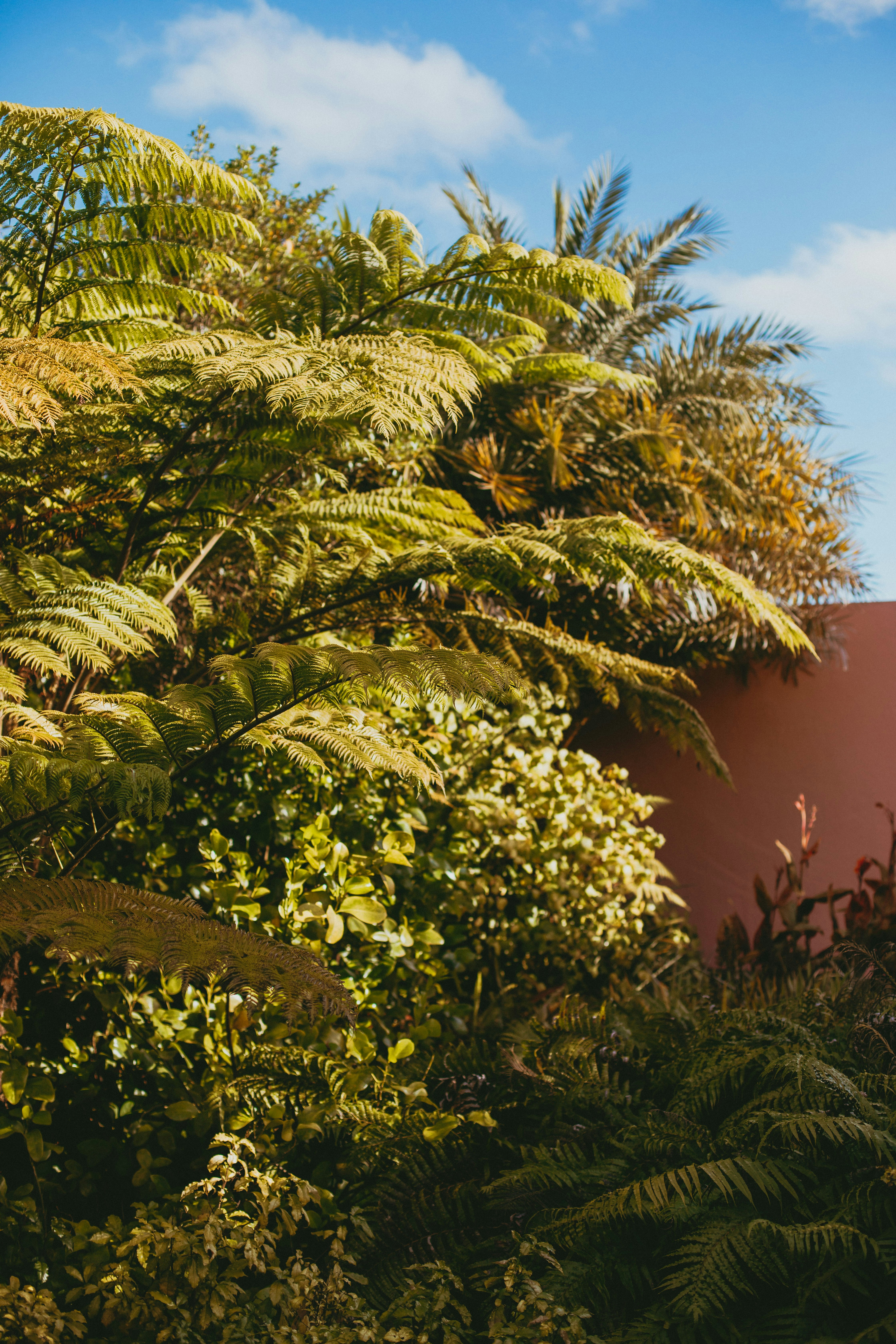 Photo by createinme_nz