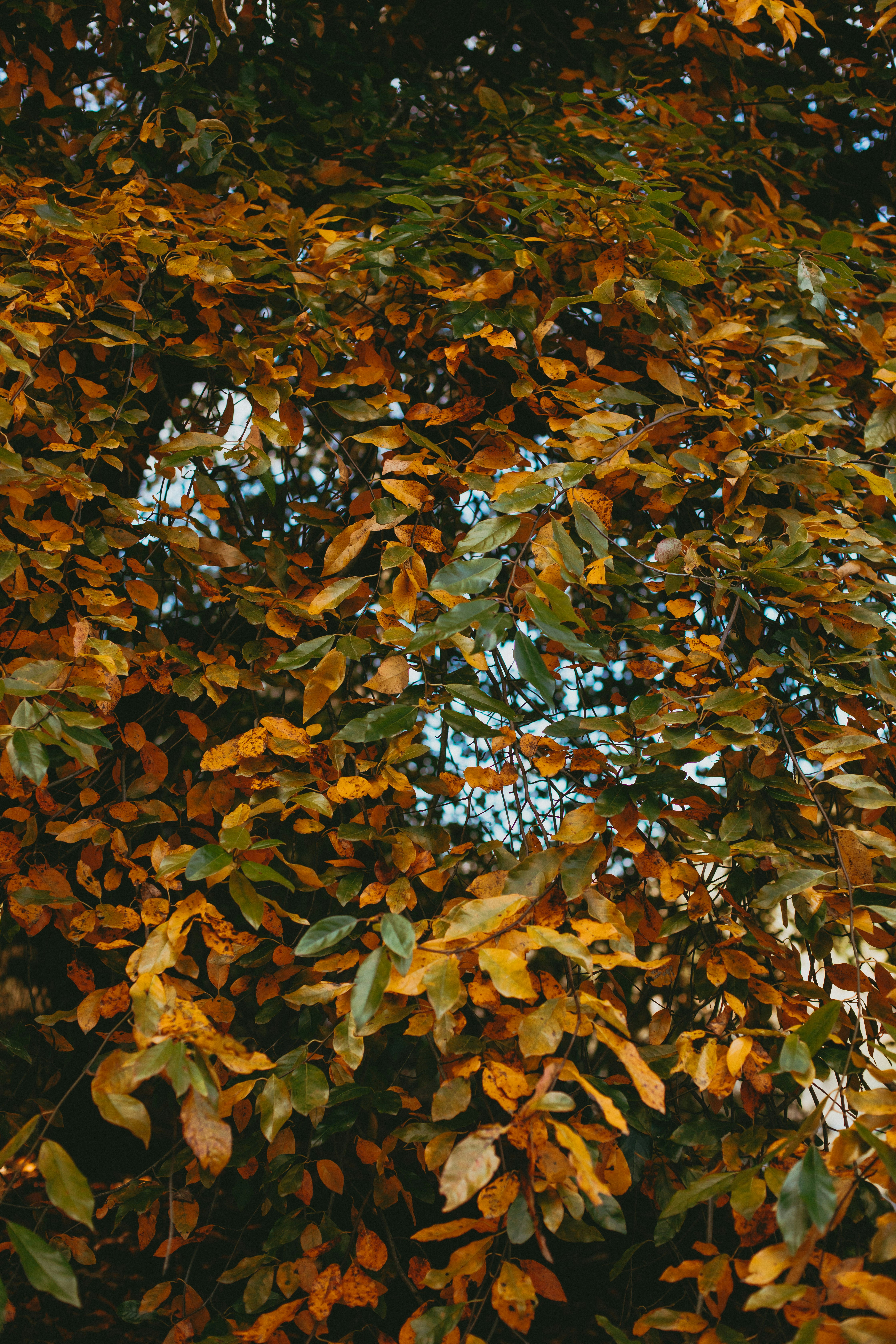 Photo by createinme_nz