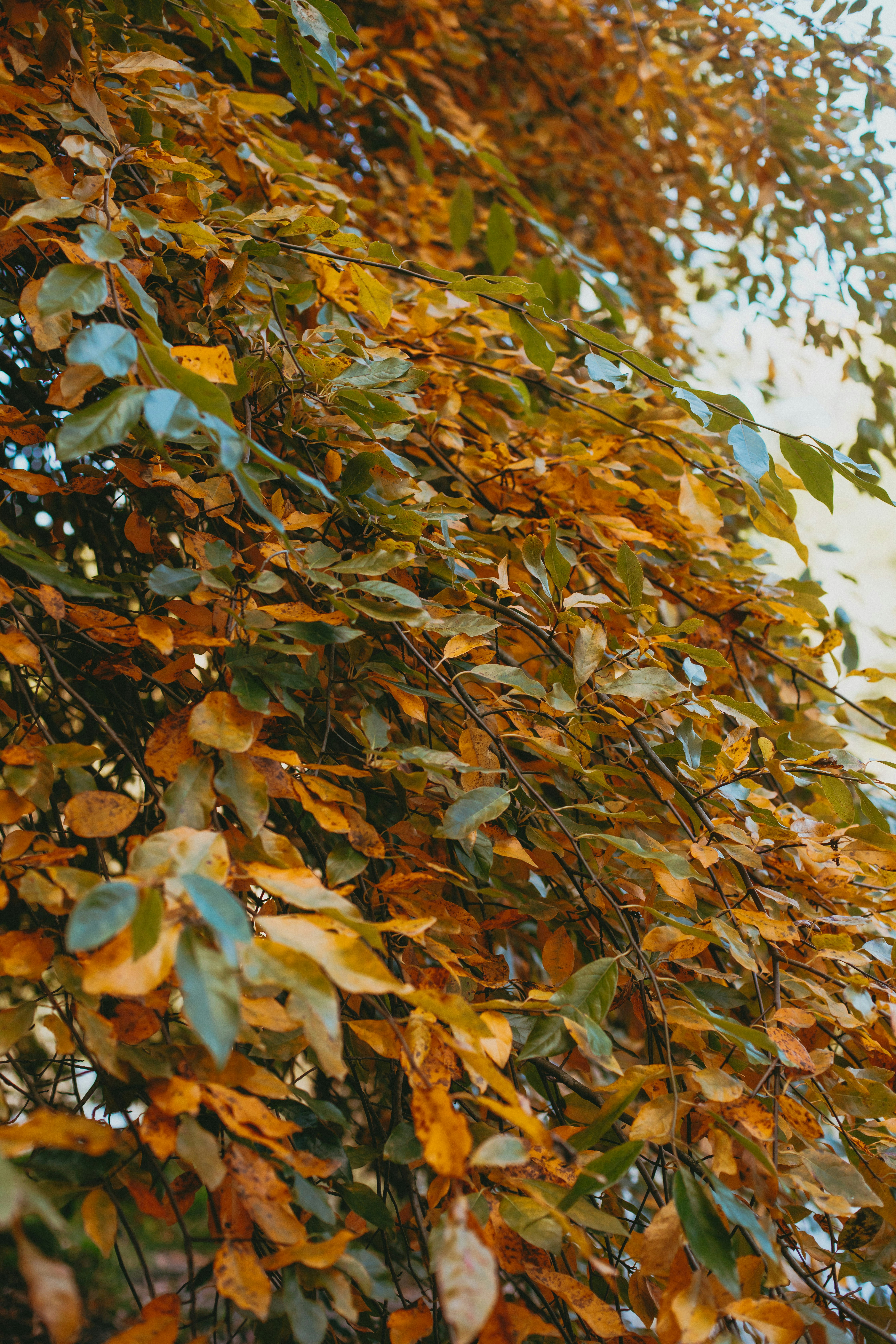 Photo by createinme_nz