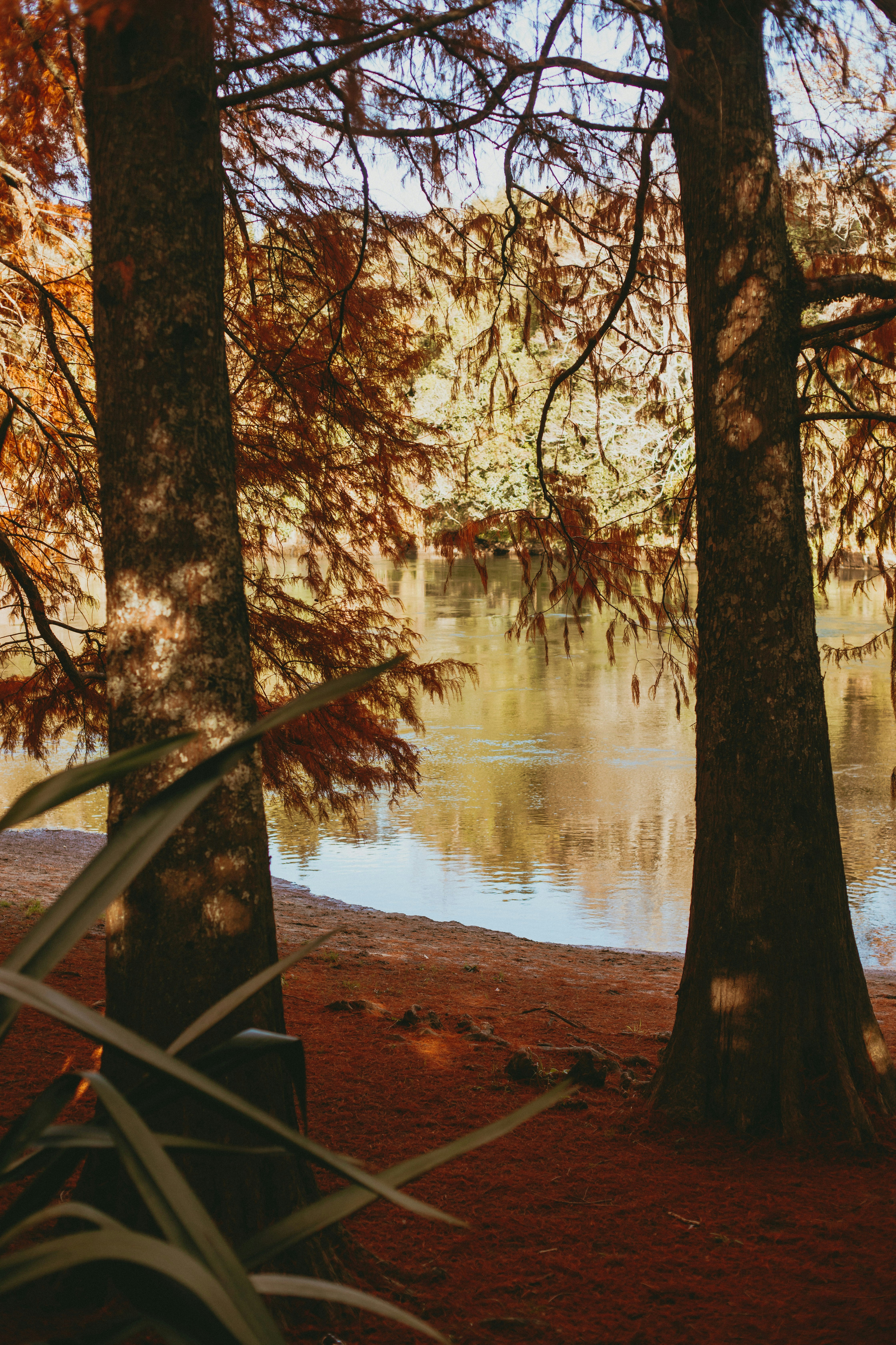 Tent Camping in Hamilton, Ontario: Parks and Campground