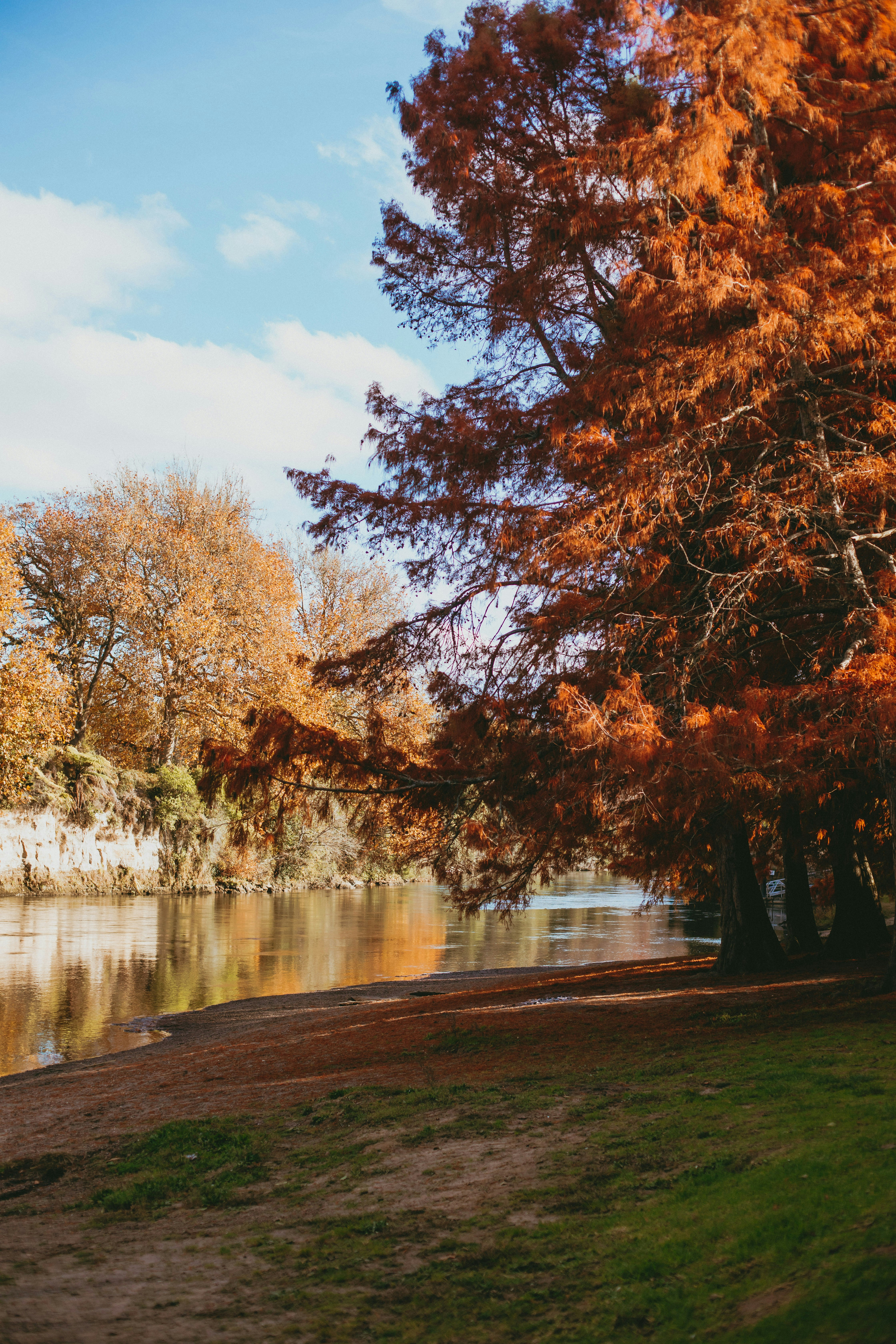 Photo by createinme_nz