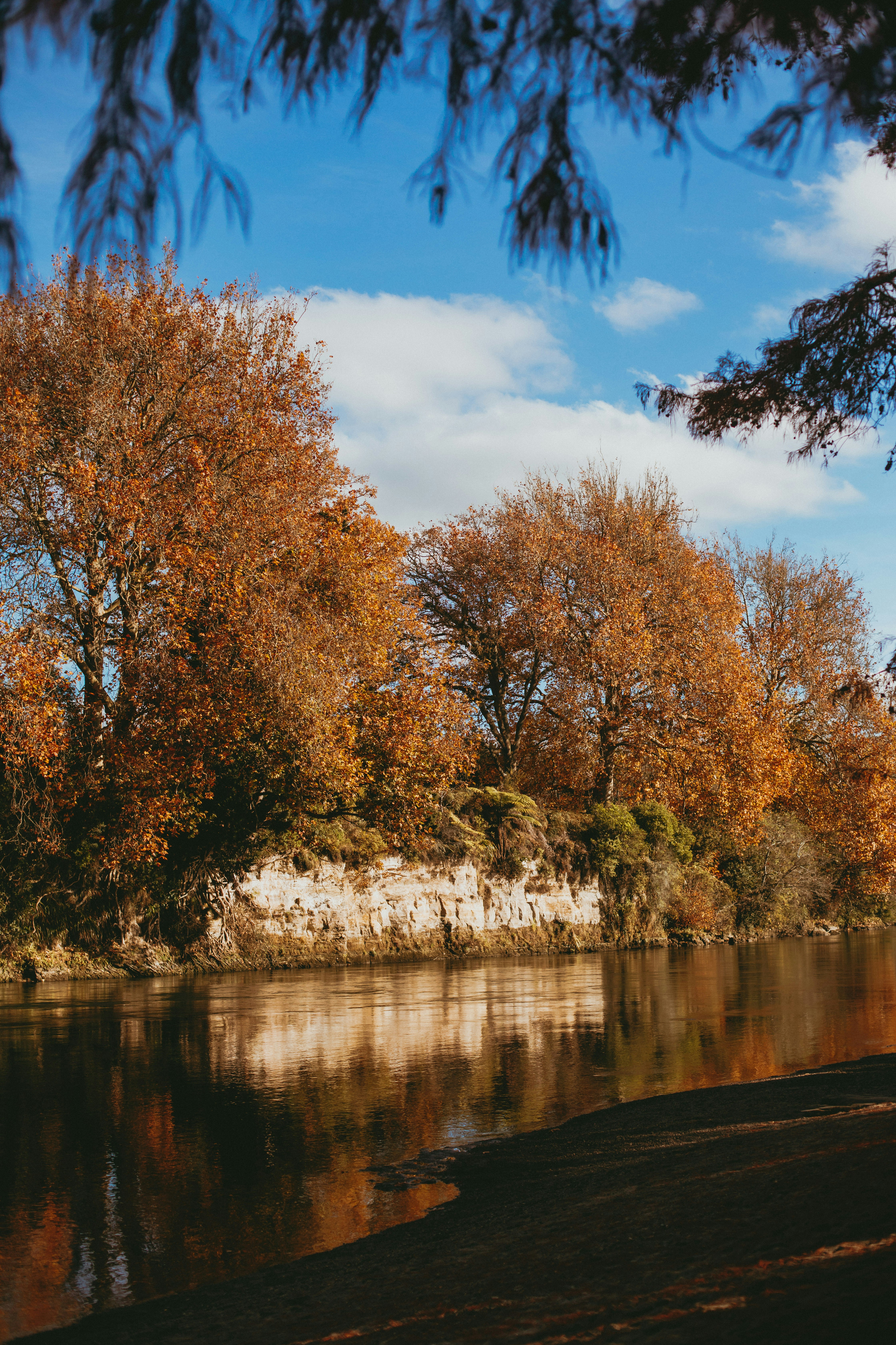 Photo by createinme_nz