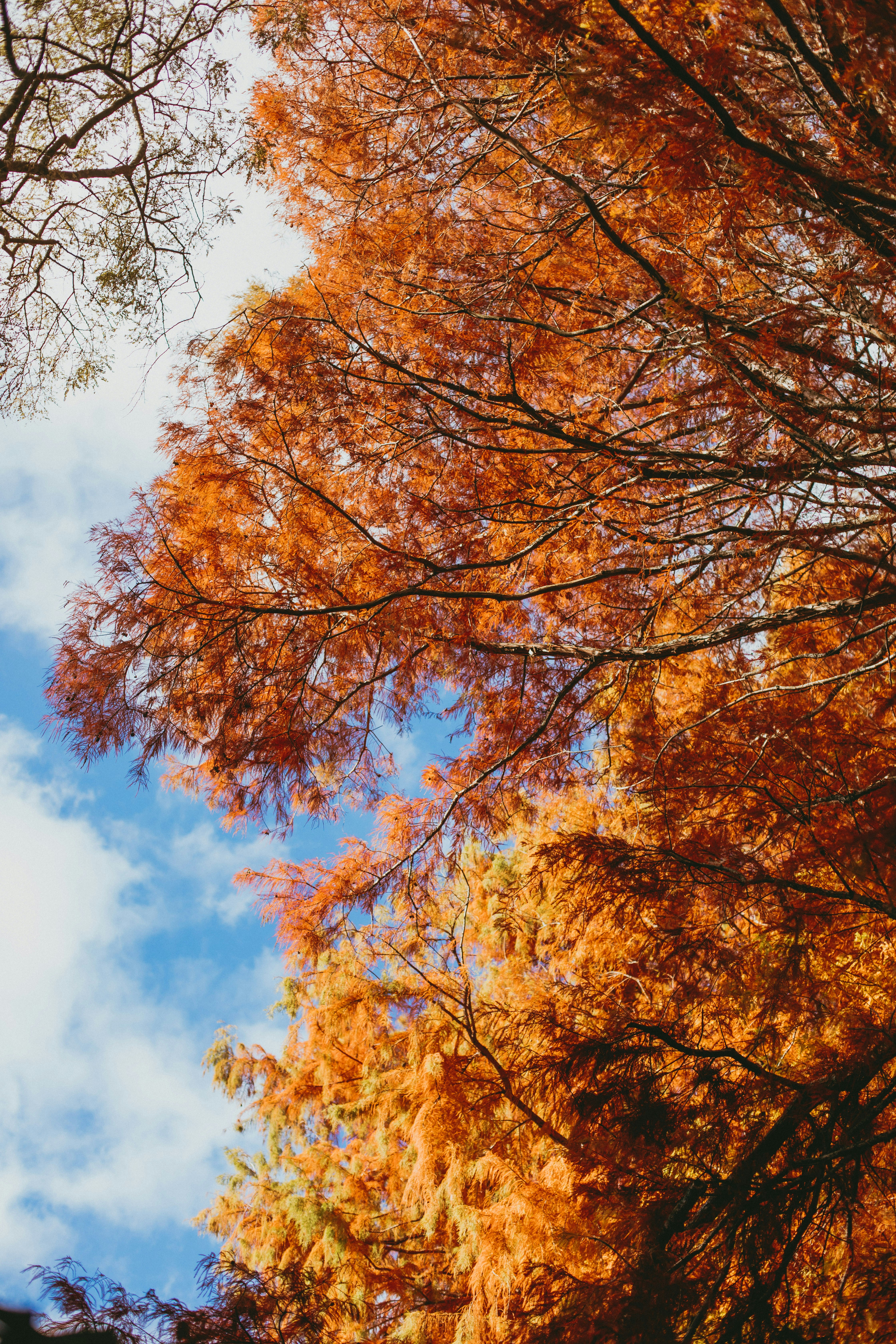 Photo by createinme_nz