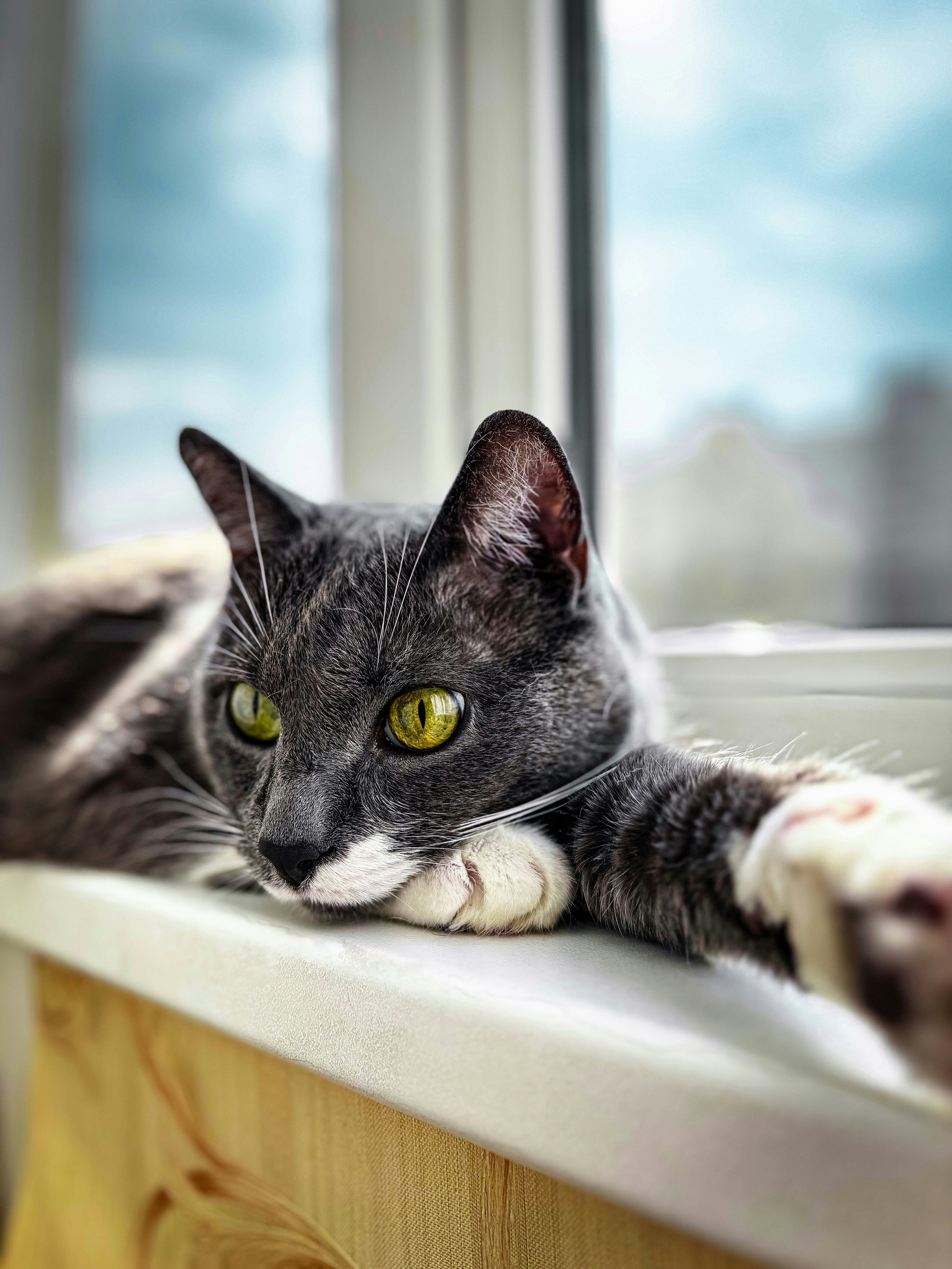 Photo by romanpetrov