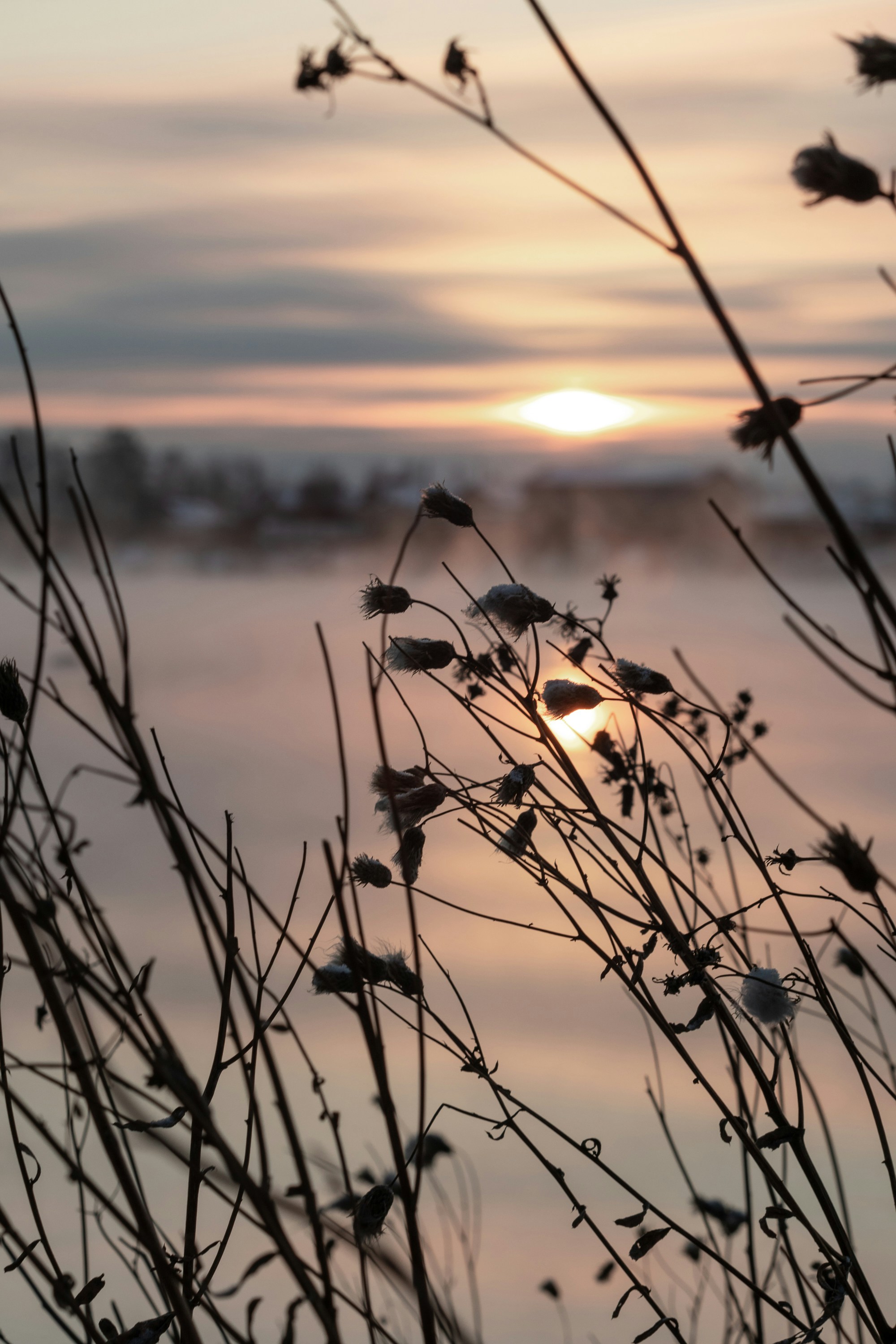 Photo by romanpetrov