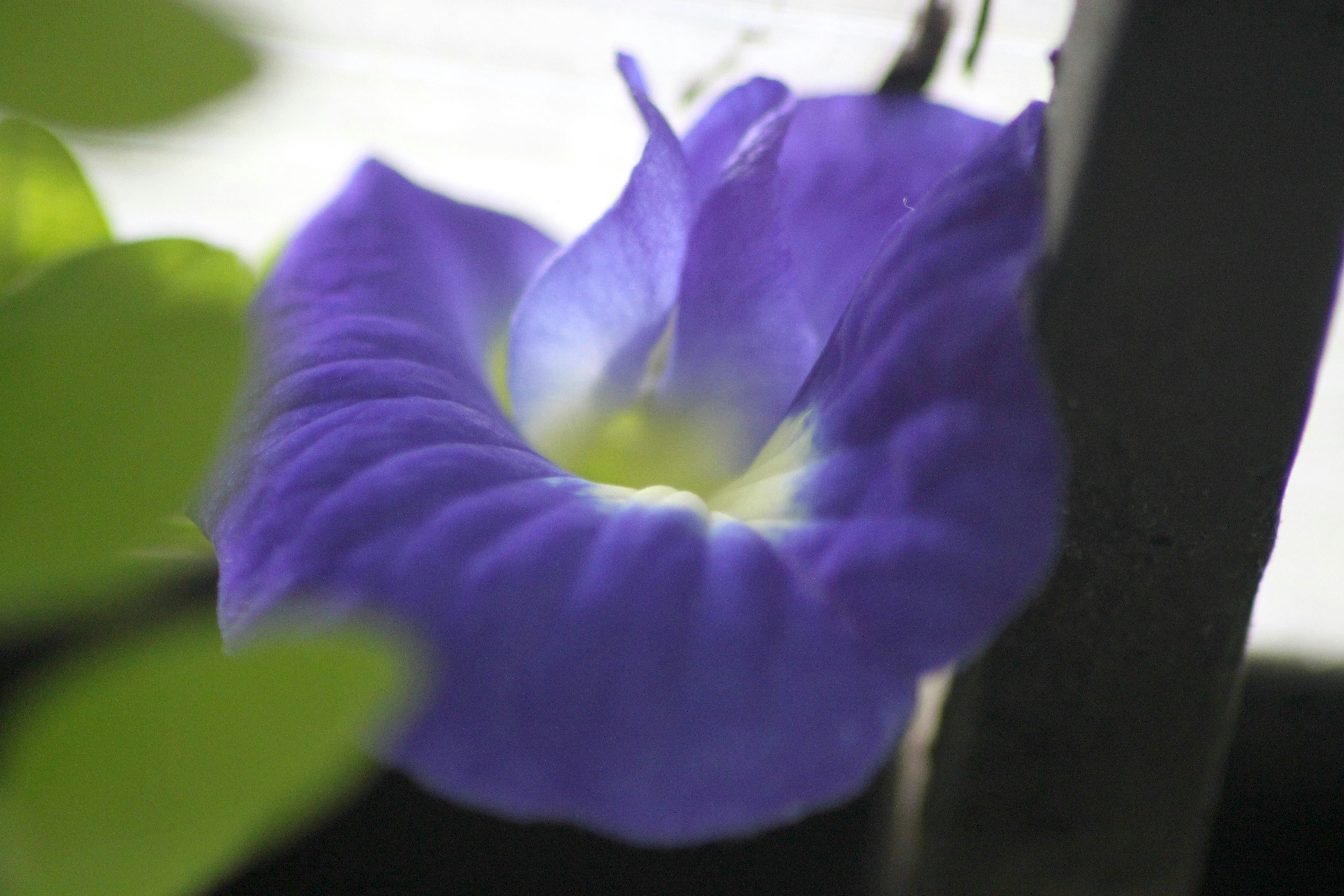 Photo by rahul_saraf