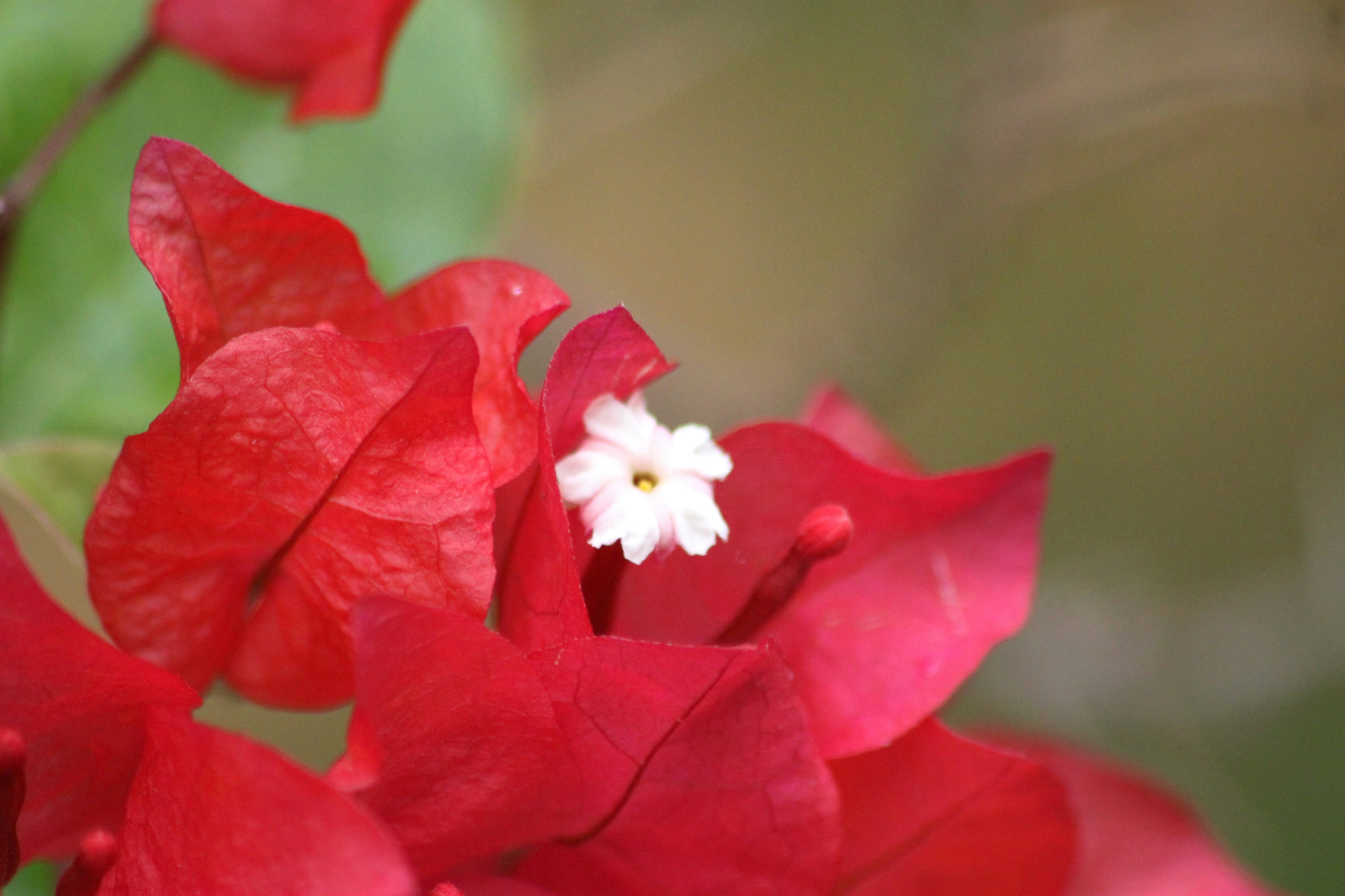 Photo by rahul_saraf