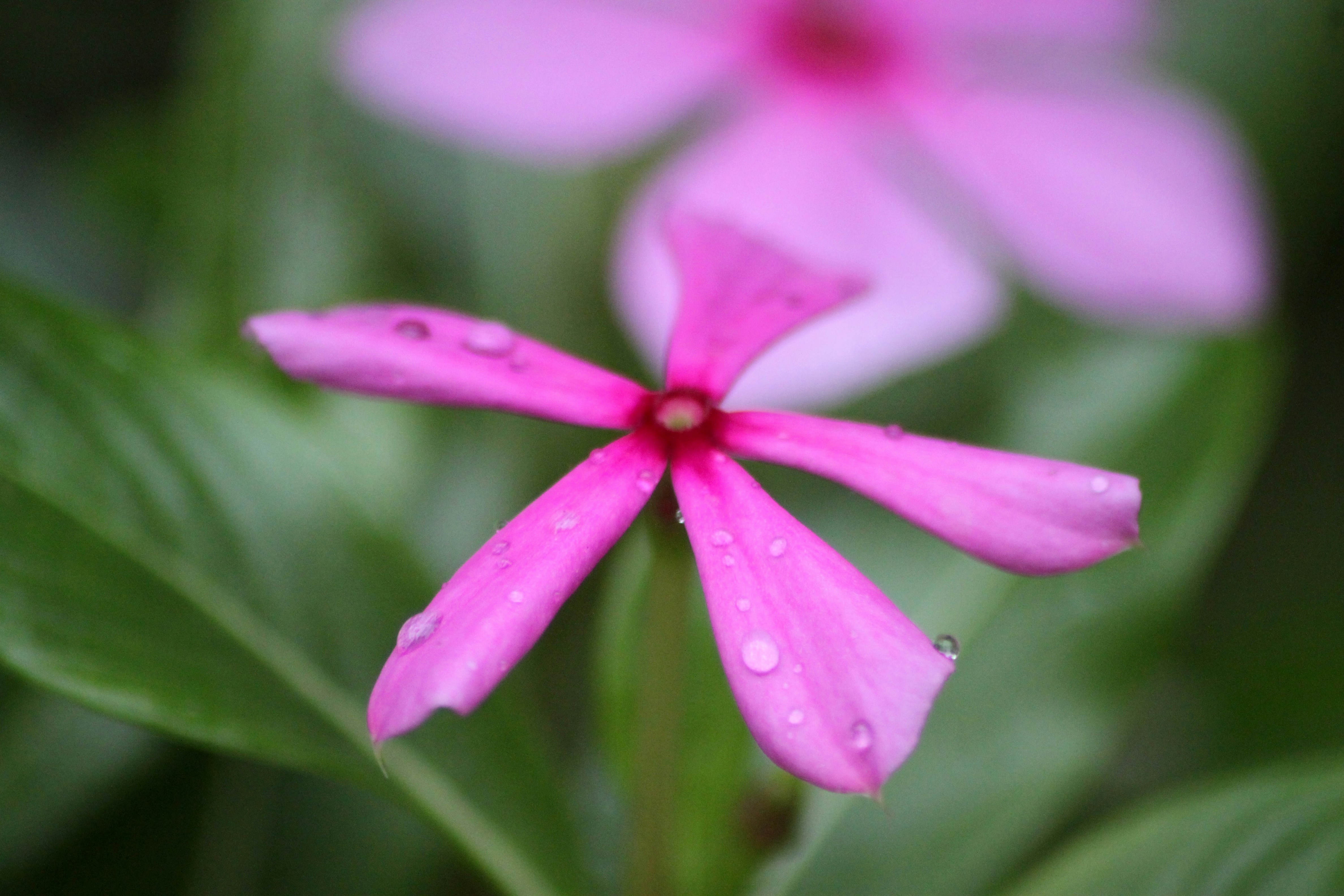 Photo by rahul_saraf