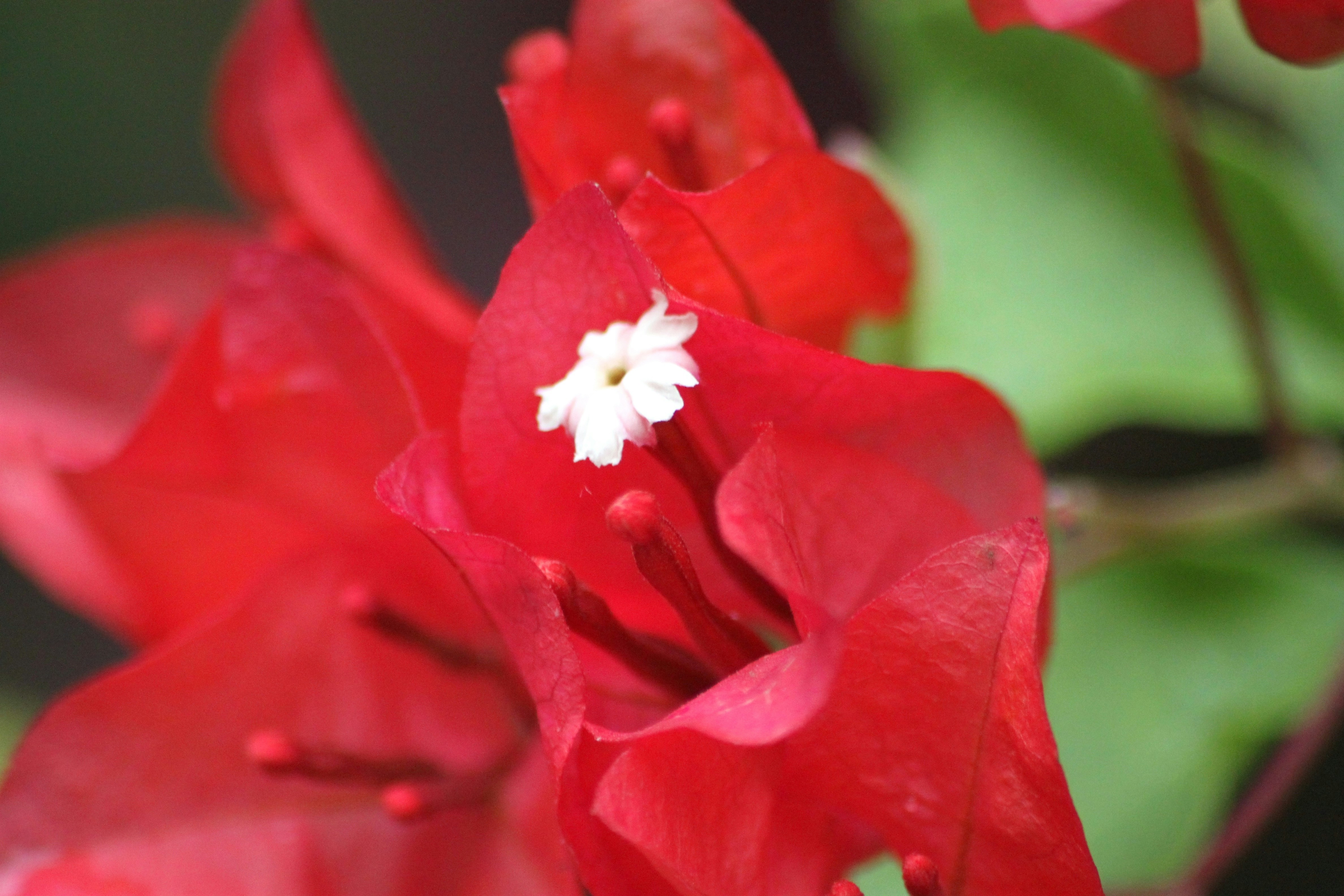 Photo by rahul_saraf