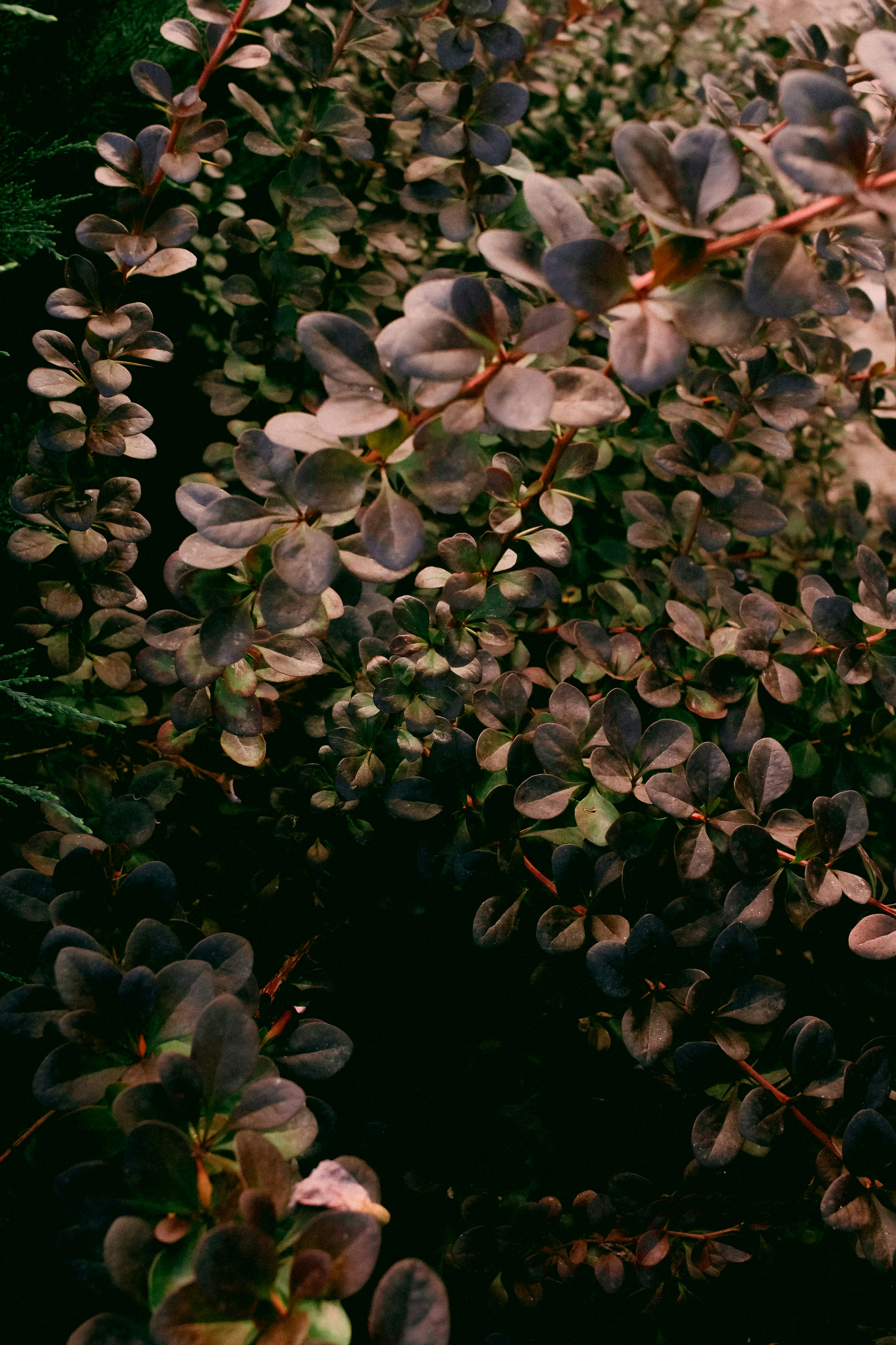 Photo by omarcelorangel