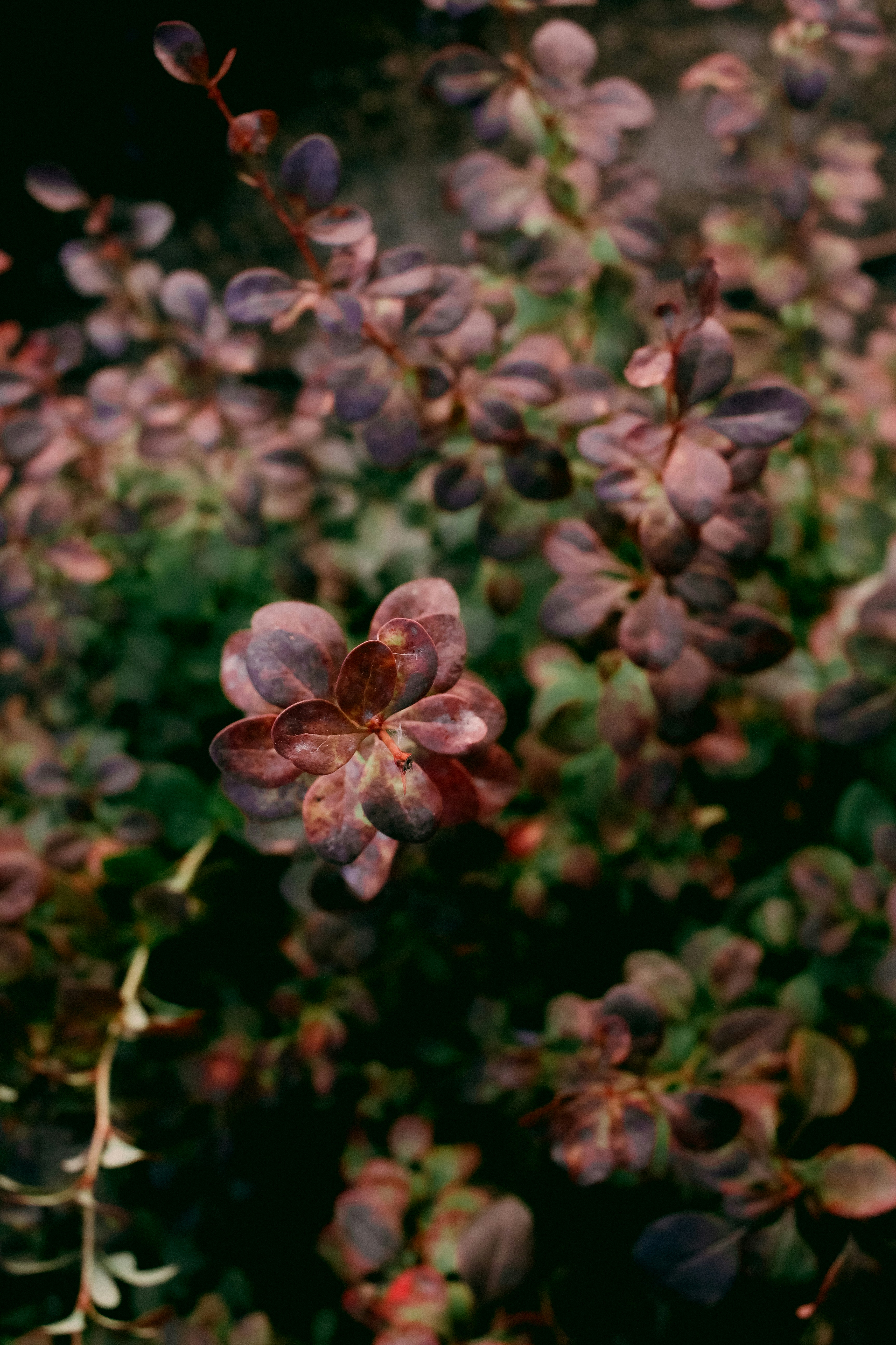 Photo by omarcelorangel