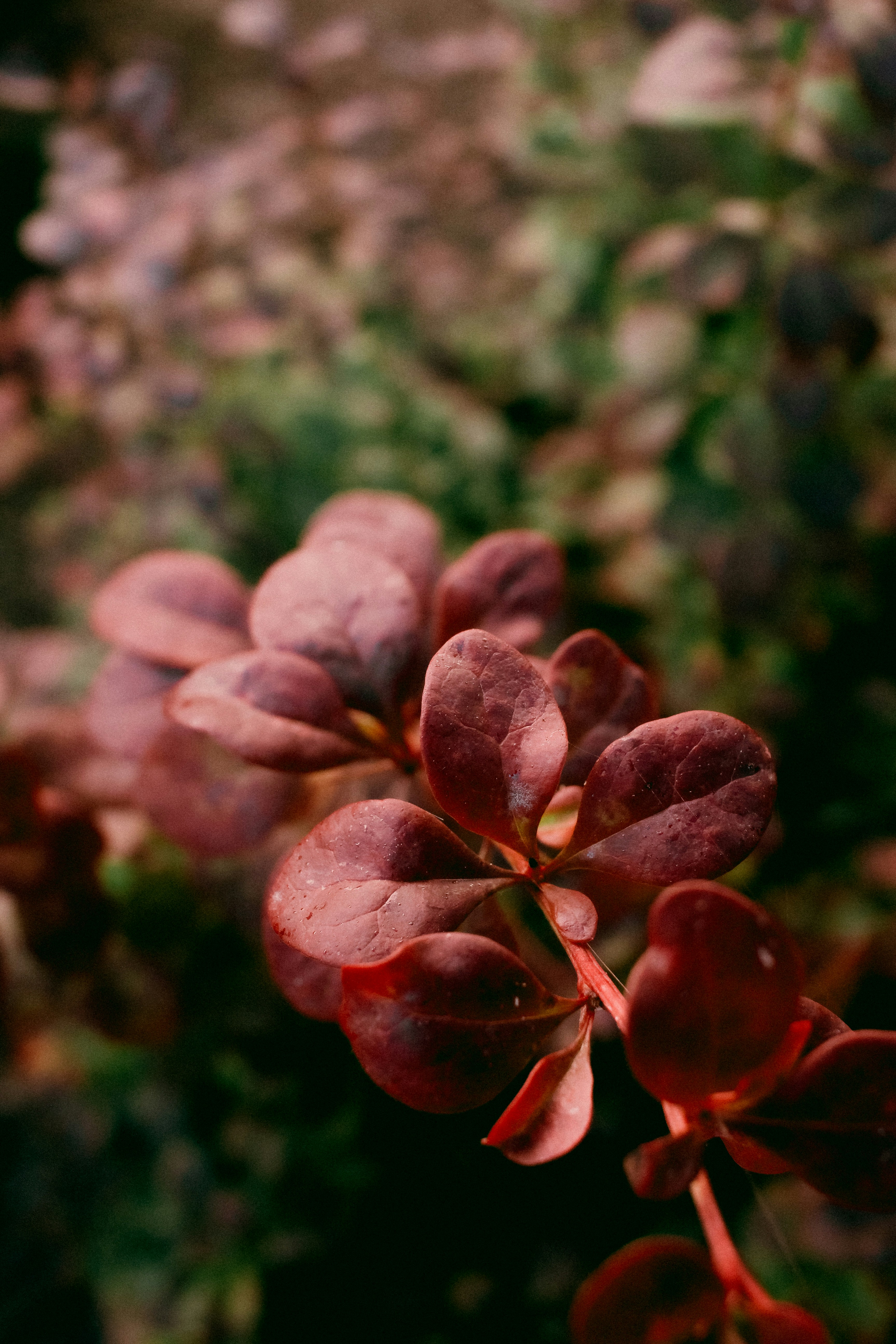 Photo by omarcelorangel