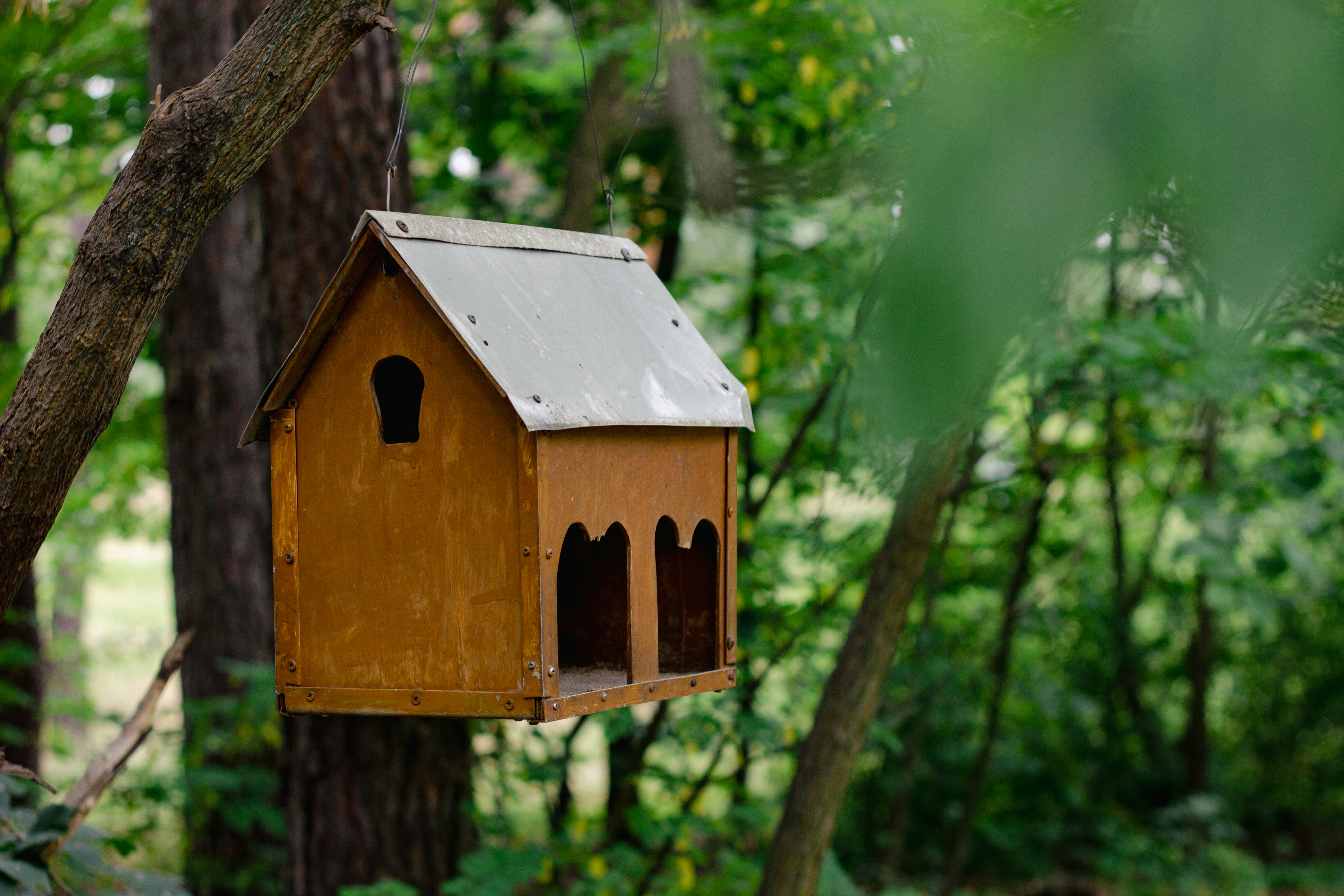 Una casetta per uccelli appesa a un albero nel bosco
