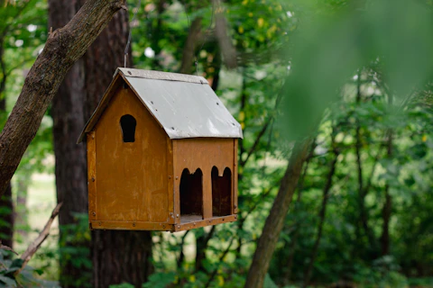 A bird house hanging from a tree in the woods