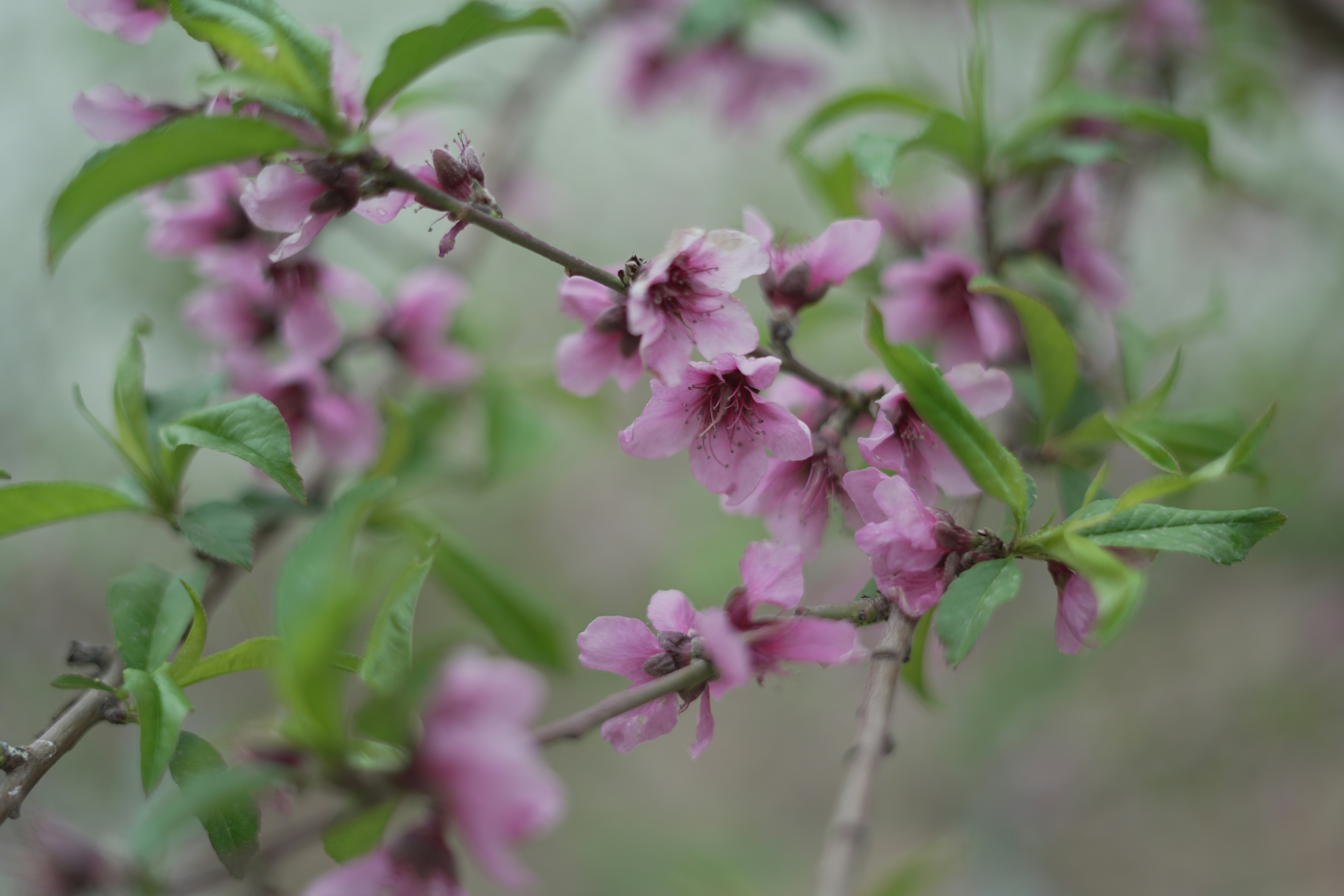 Photo by rezanoori_net