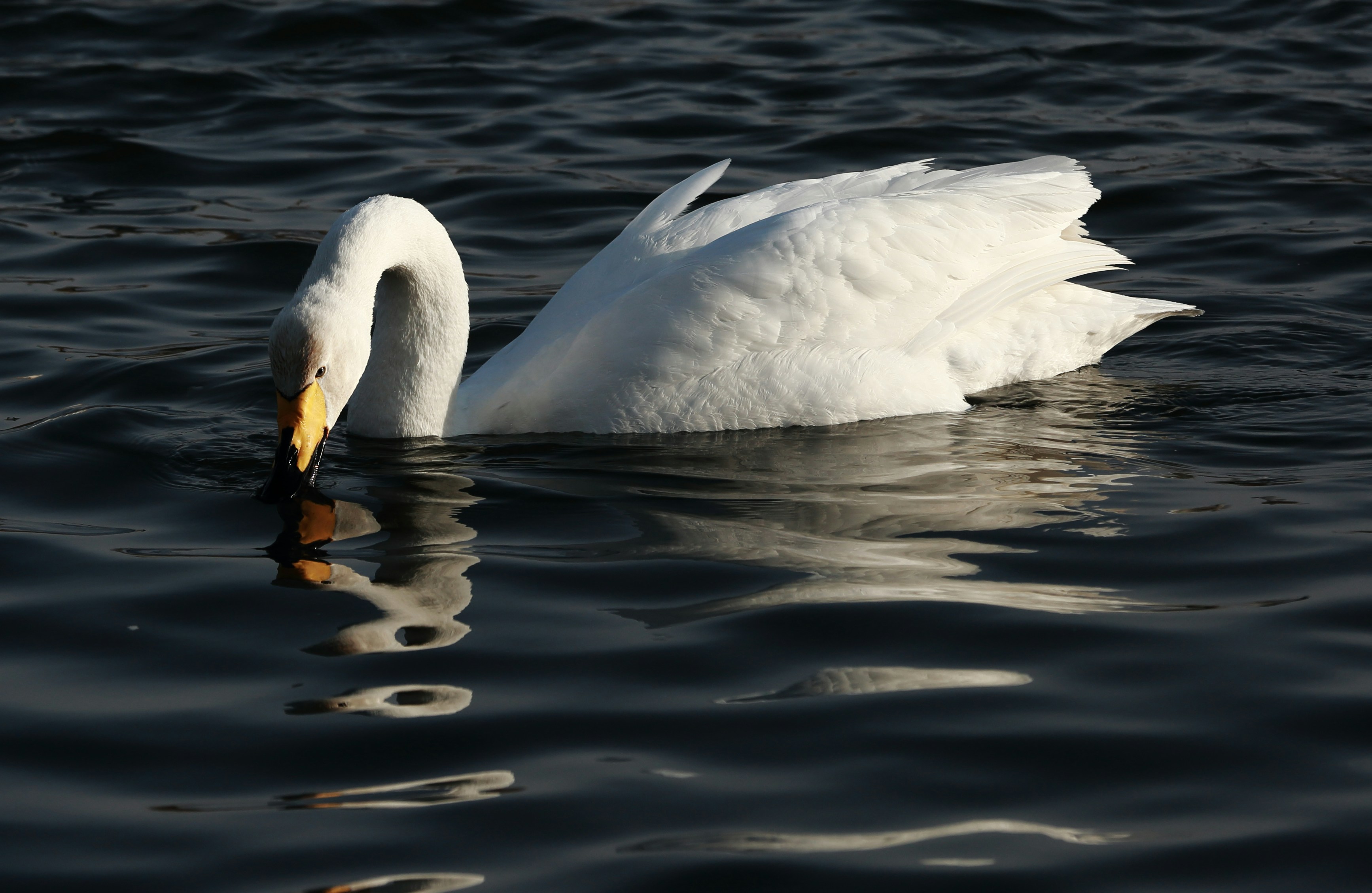 Photo by j4son_bourn3