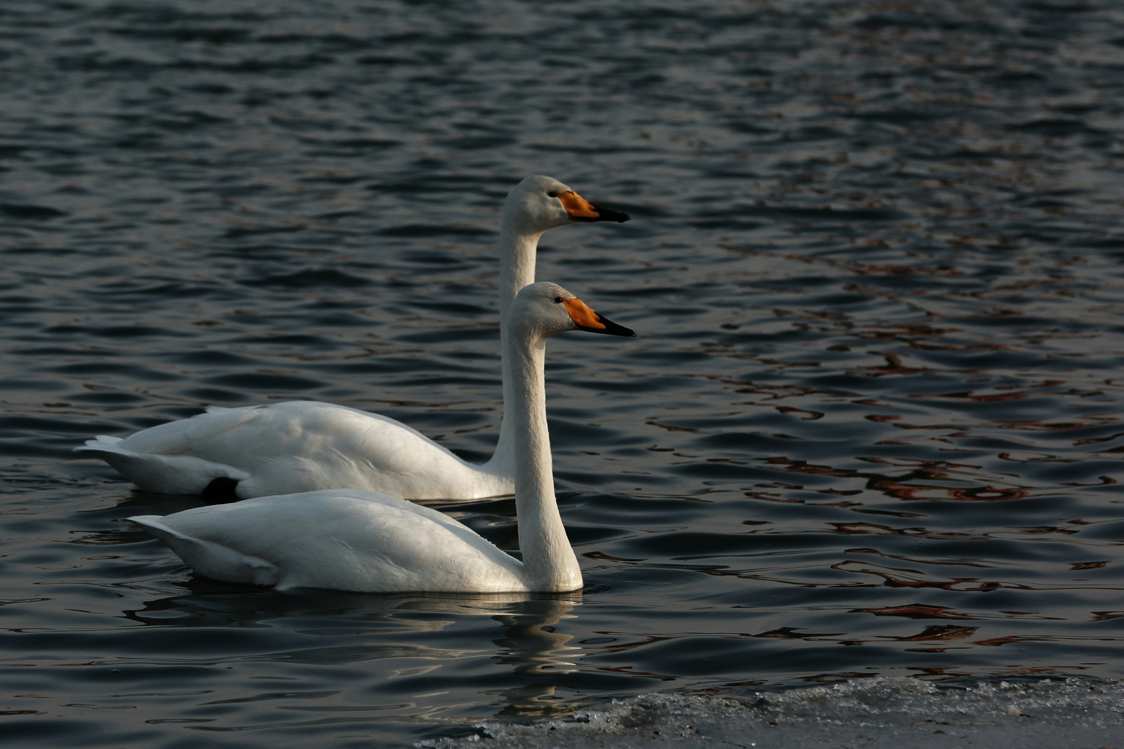 Photo by j4son_bourn3