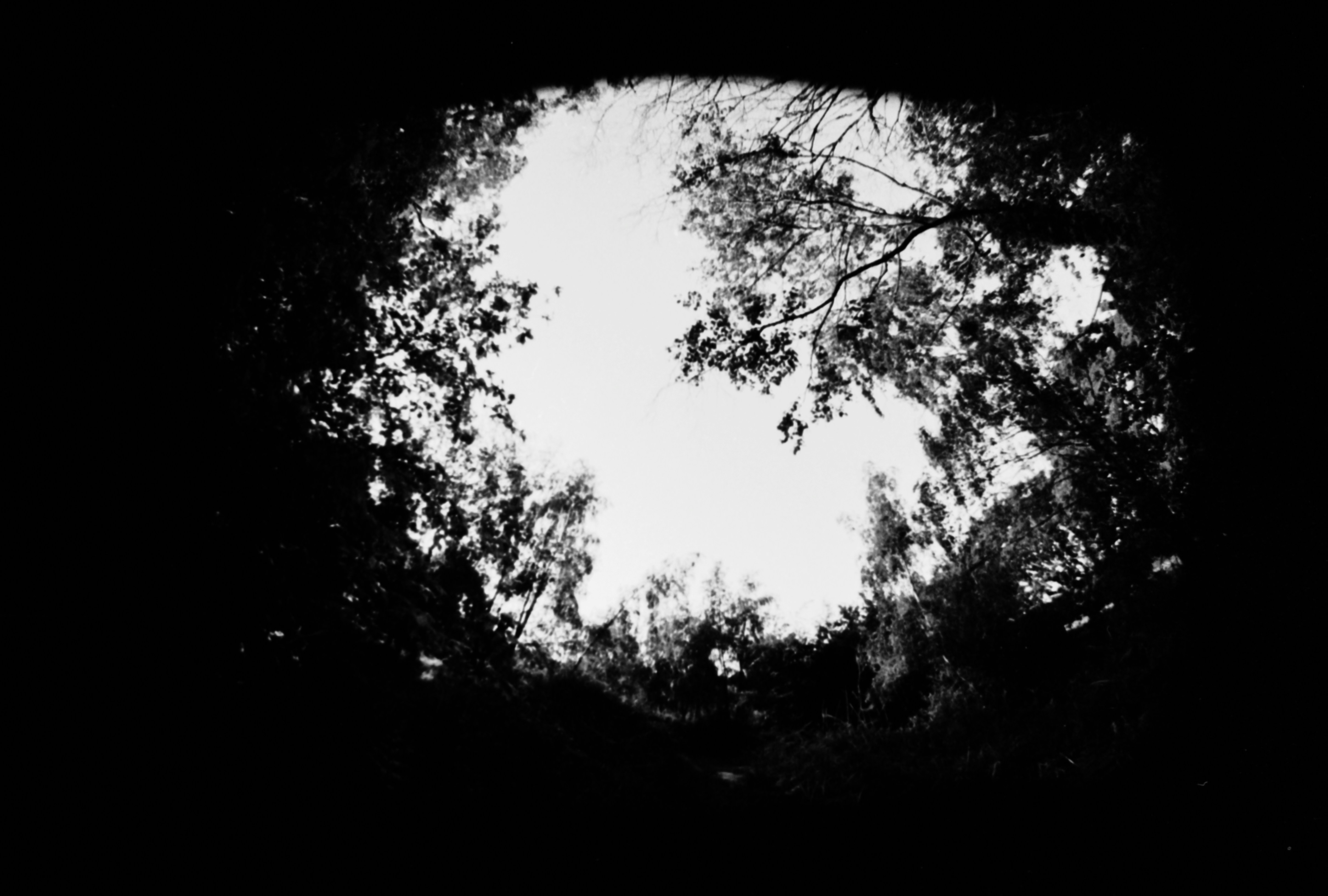 Photo by anniespratt