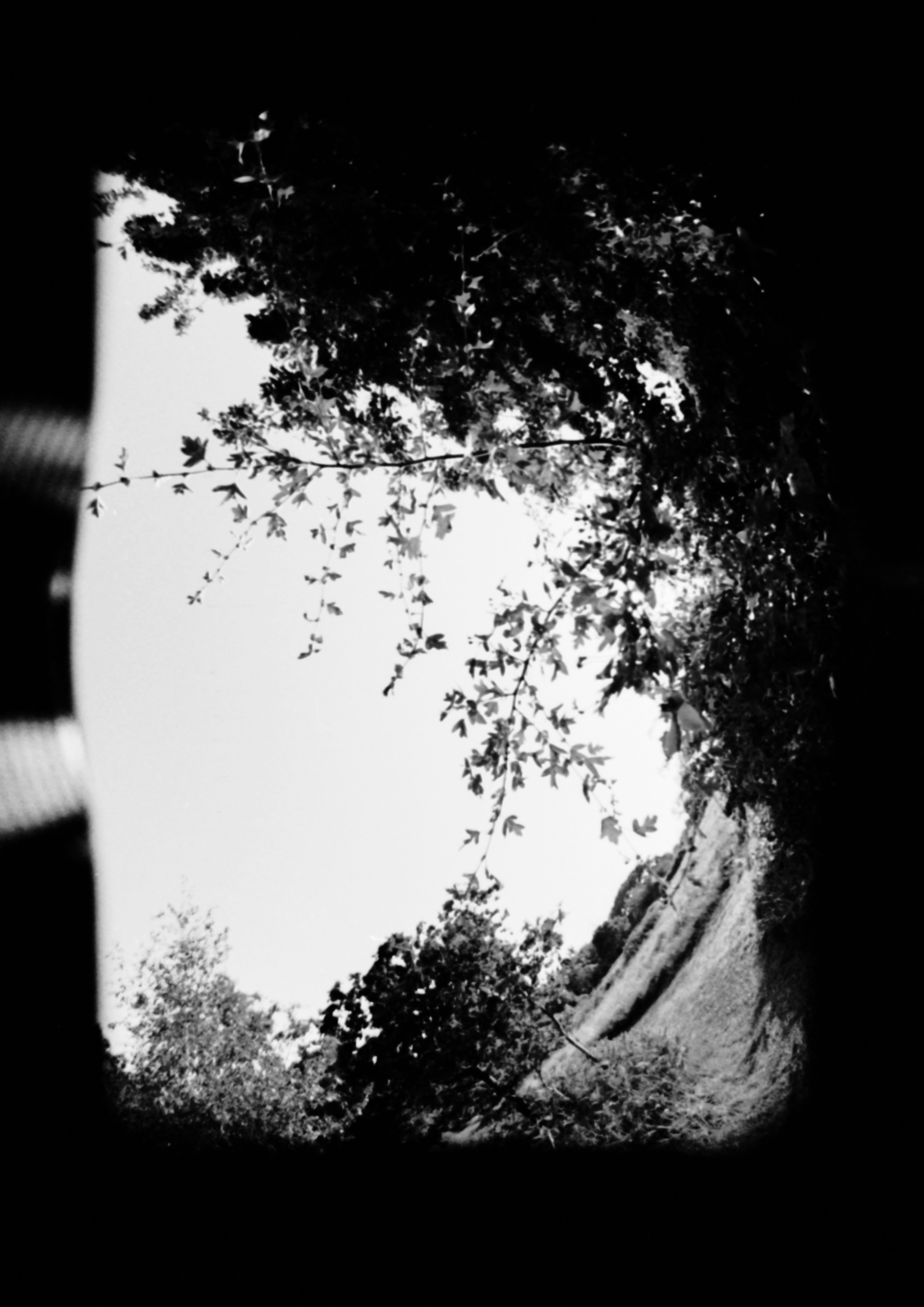 Photo by anniespratt