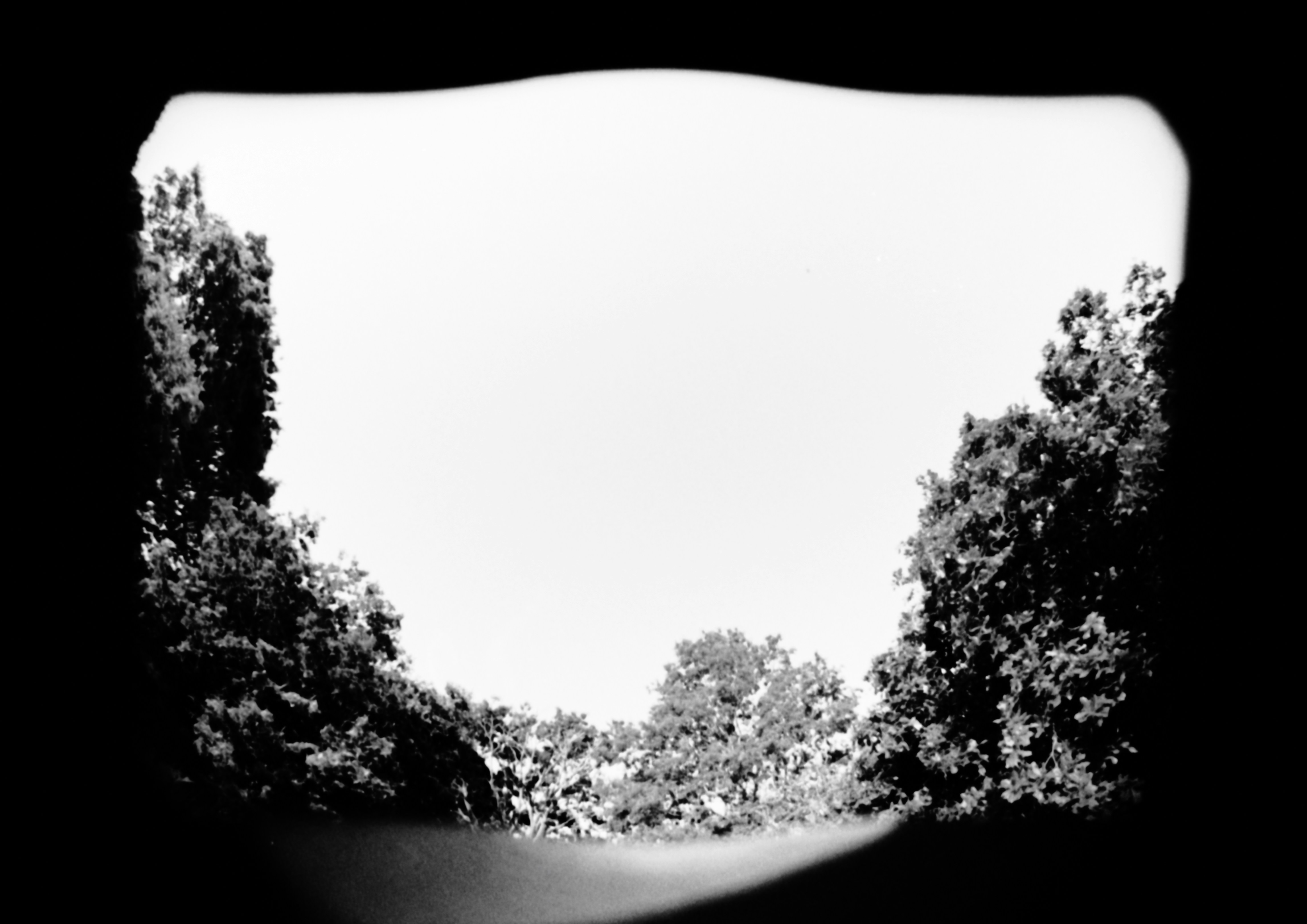 Photo by anniespratt