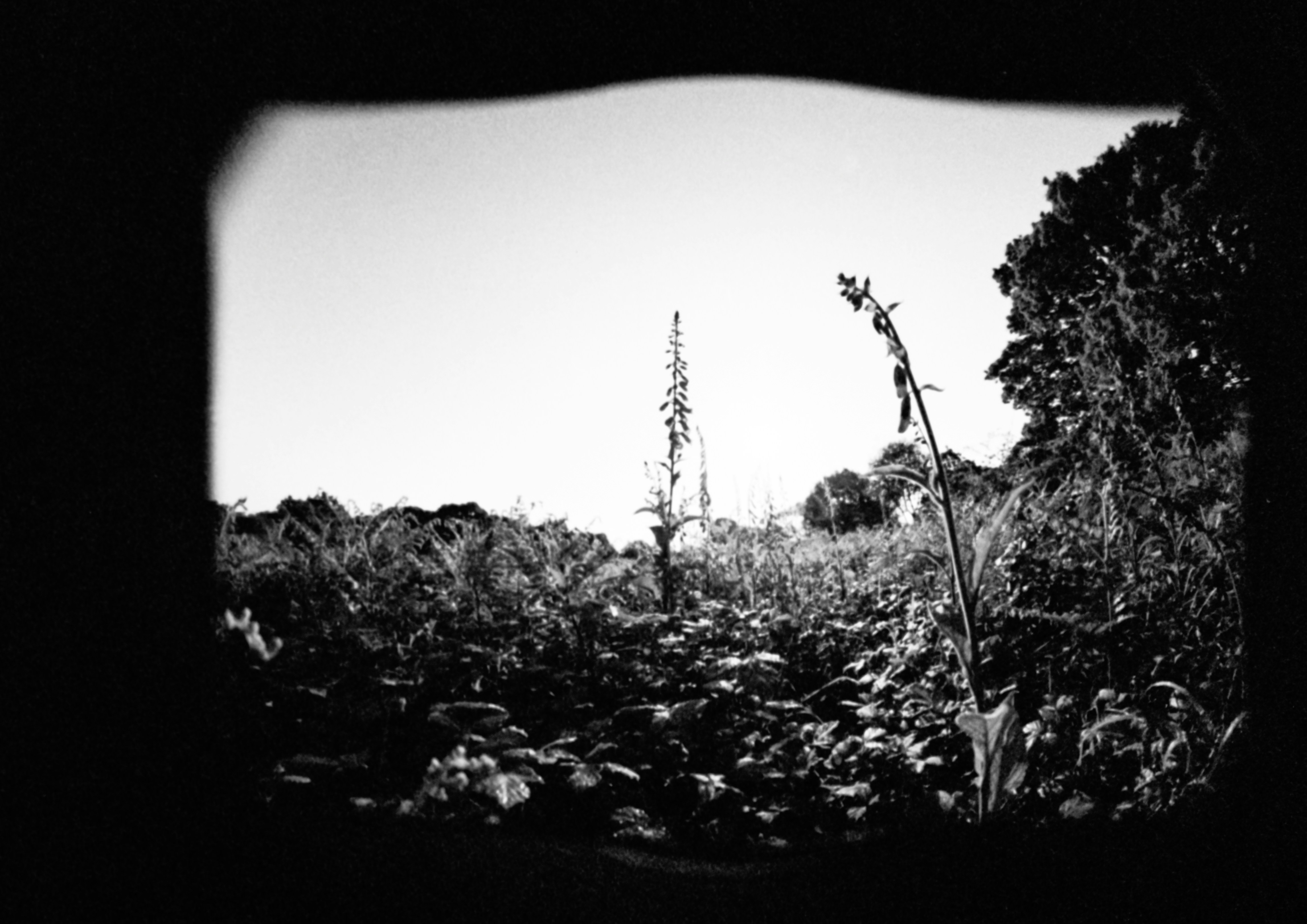Photo by anniespratt