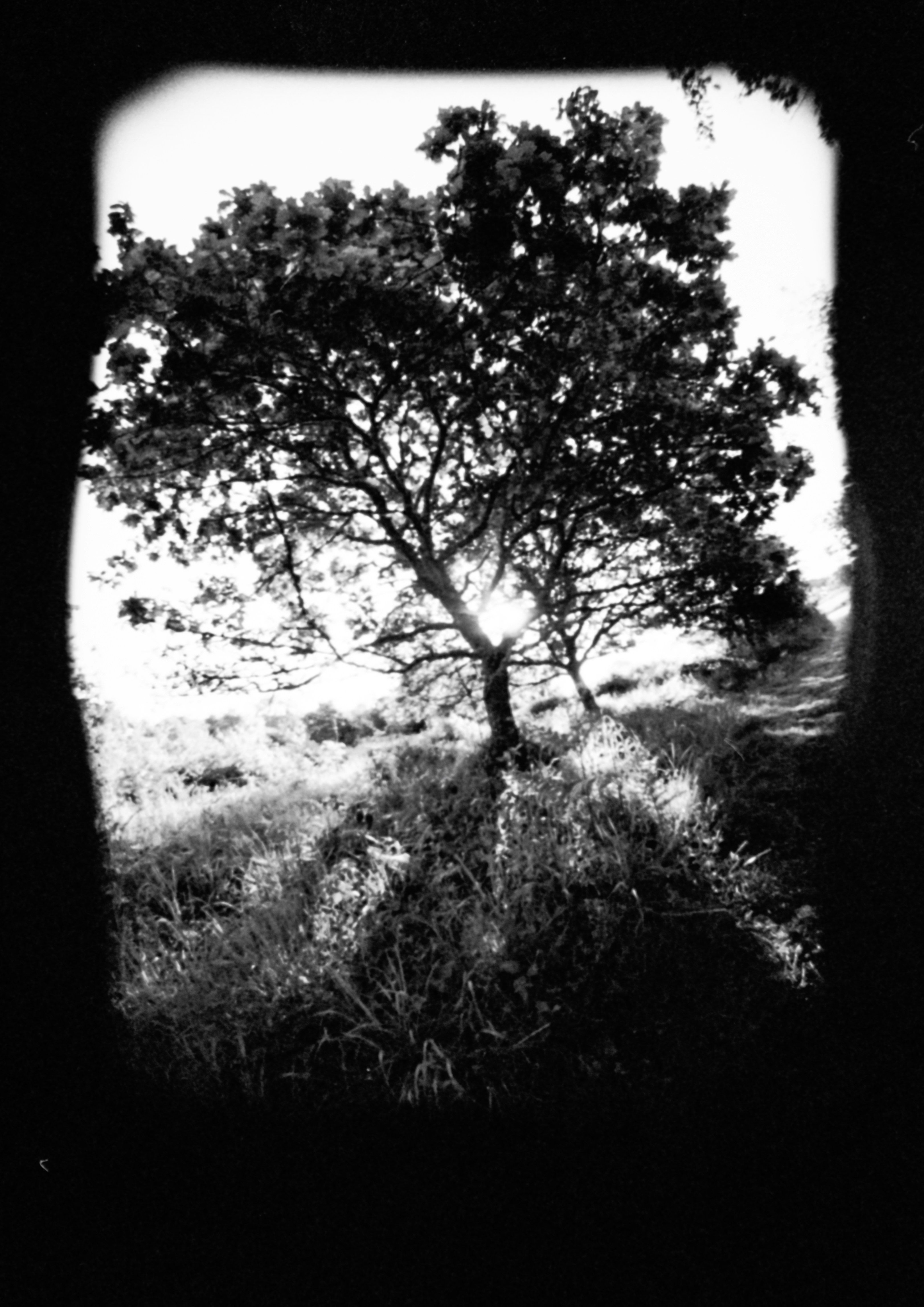 Photo by anniespratt