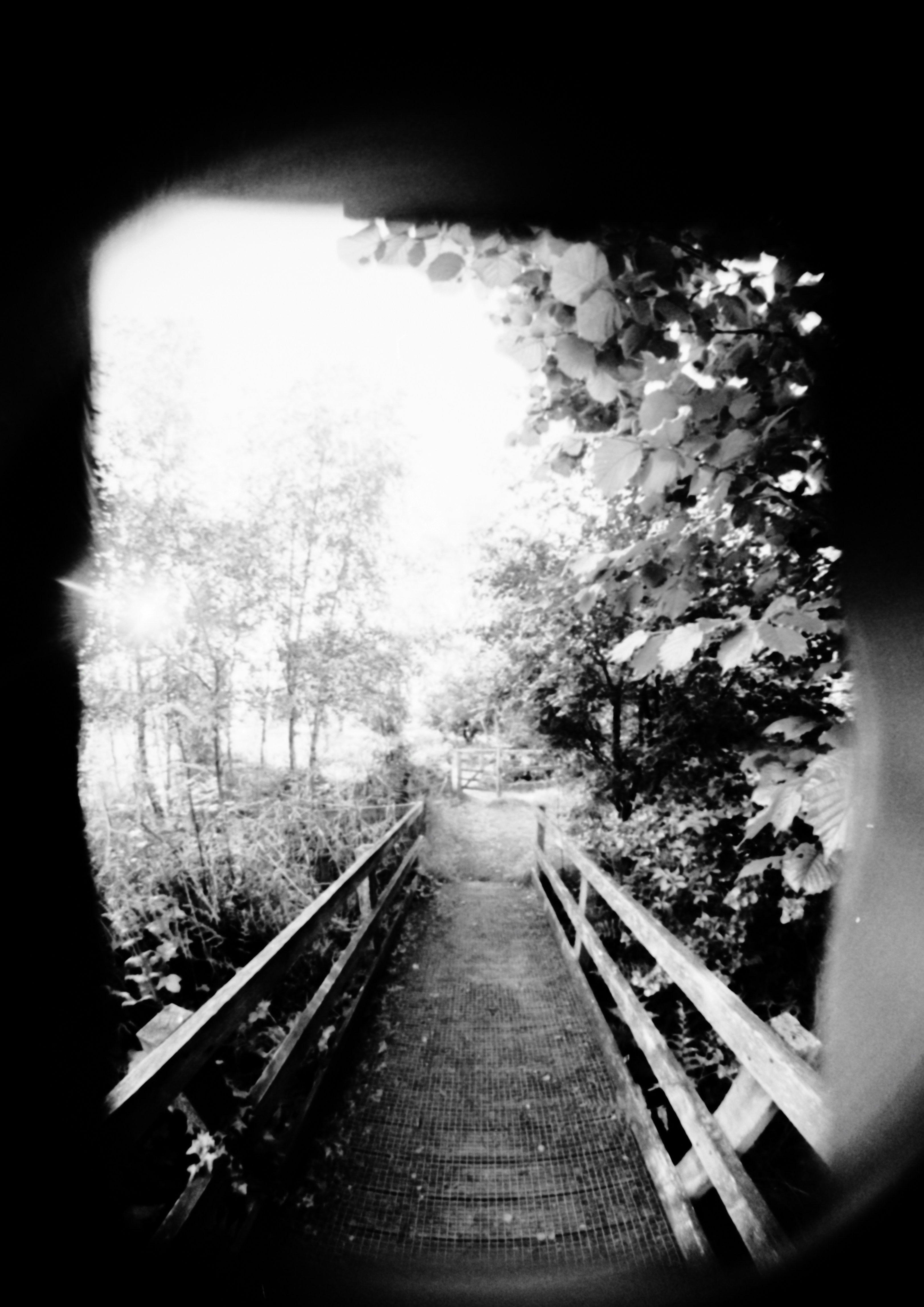 Photo by anniespratt