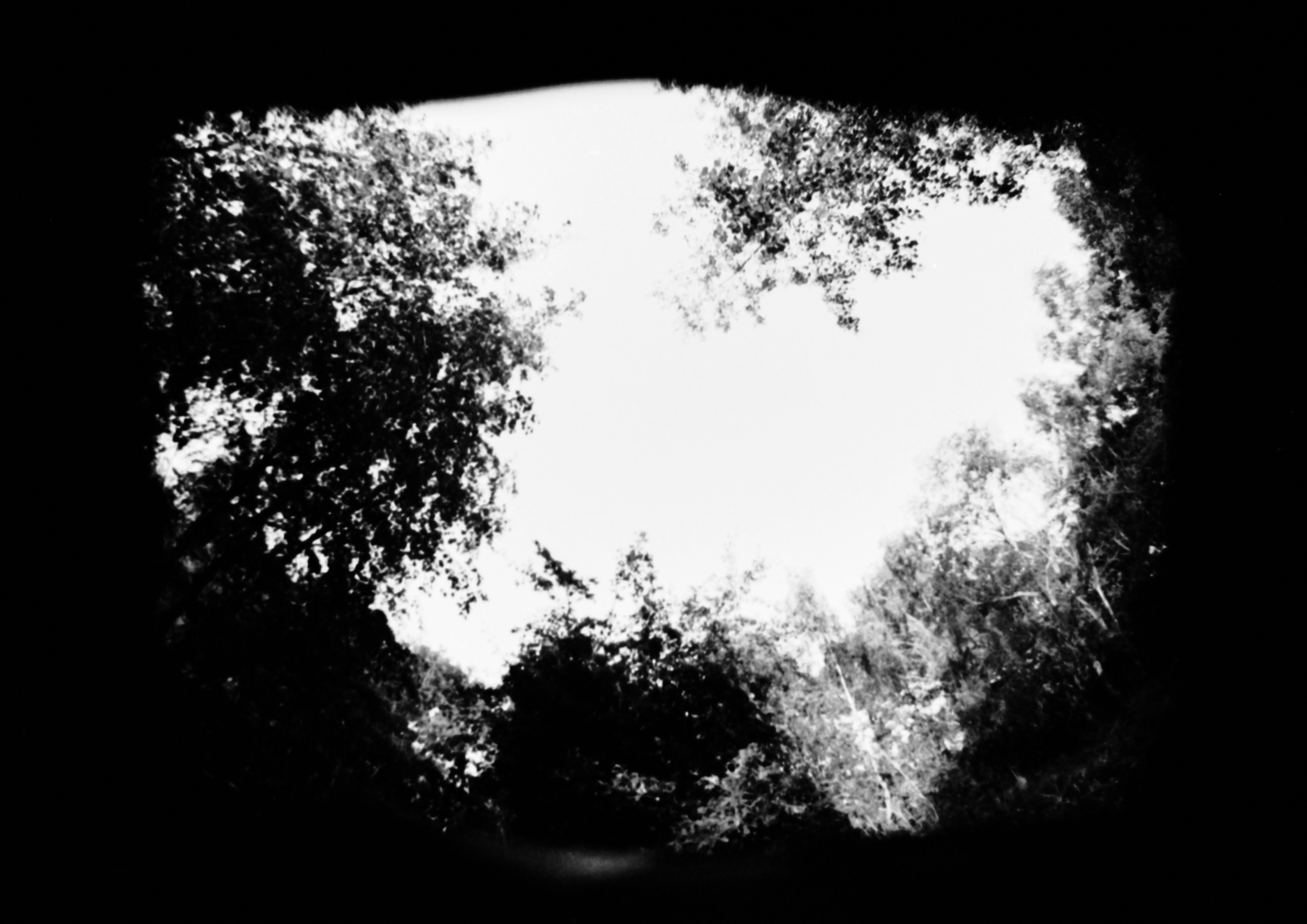 Photo by anniespratt