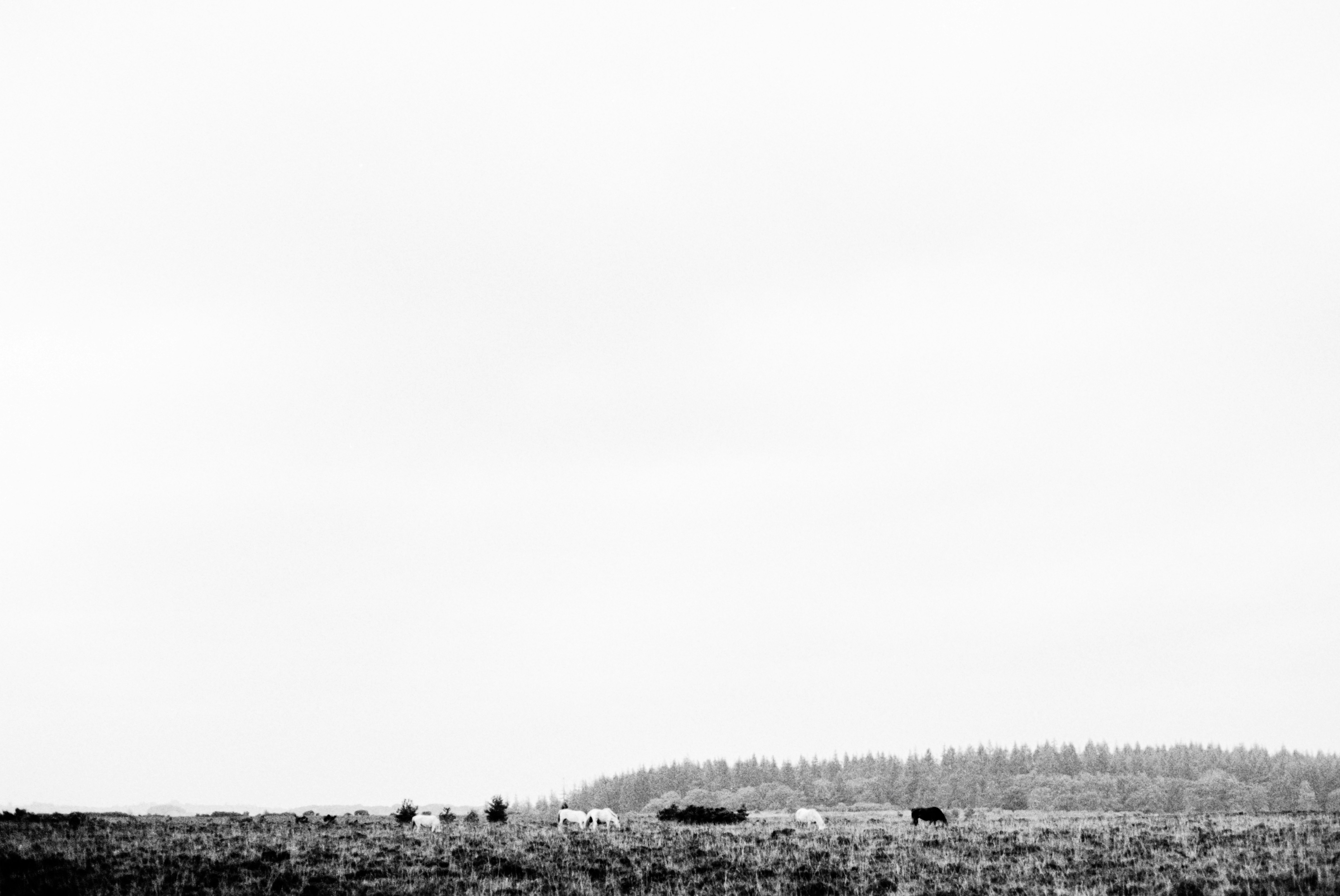 Photo by anniespratt